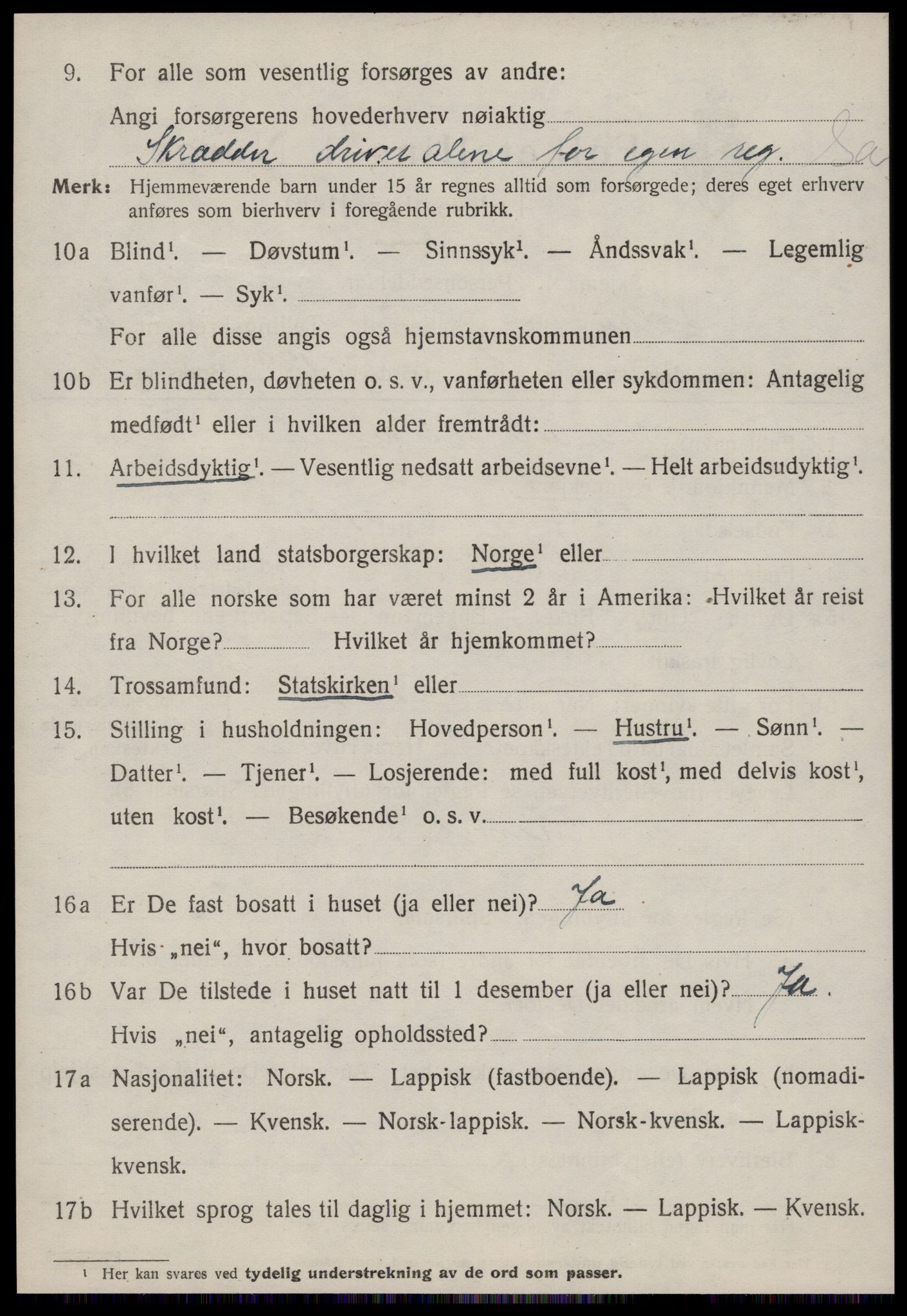 SAT, 1920 census for Selbu, 1920, p. 8497