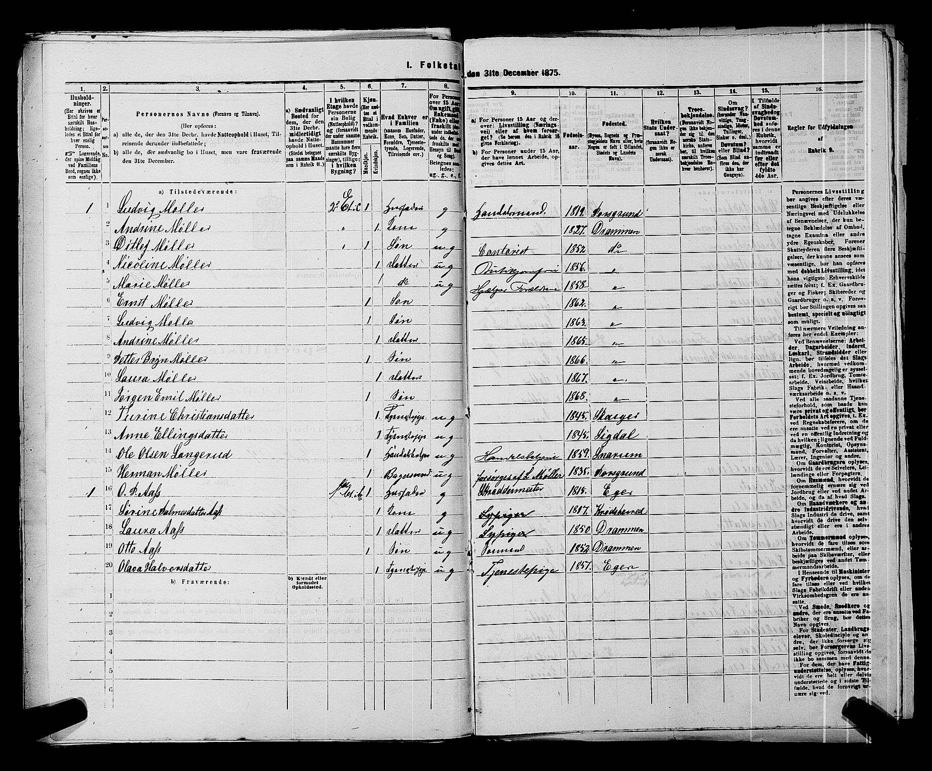 SAKO, 1875 census for 0602 Drammen, 1875, p. 375