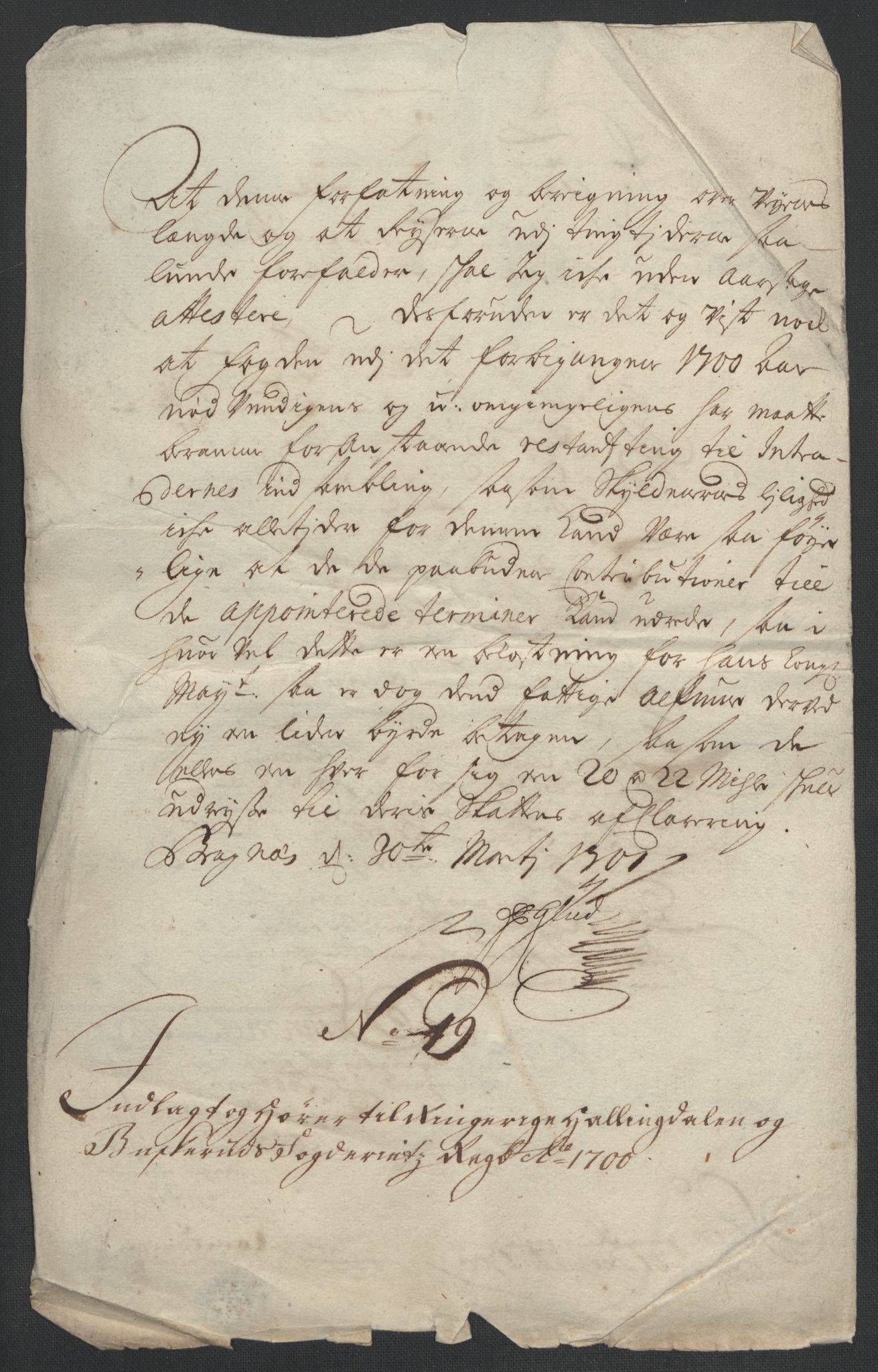 Rentekammeret inntil 1814, Reviderte regnskaper, Fogderegnskap, AV/RA-EA-4092/R22/L1457: Fogderegnskap Ringerike, Hallingdal og Buskerud, 1700, p. 216