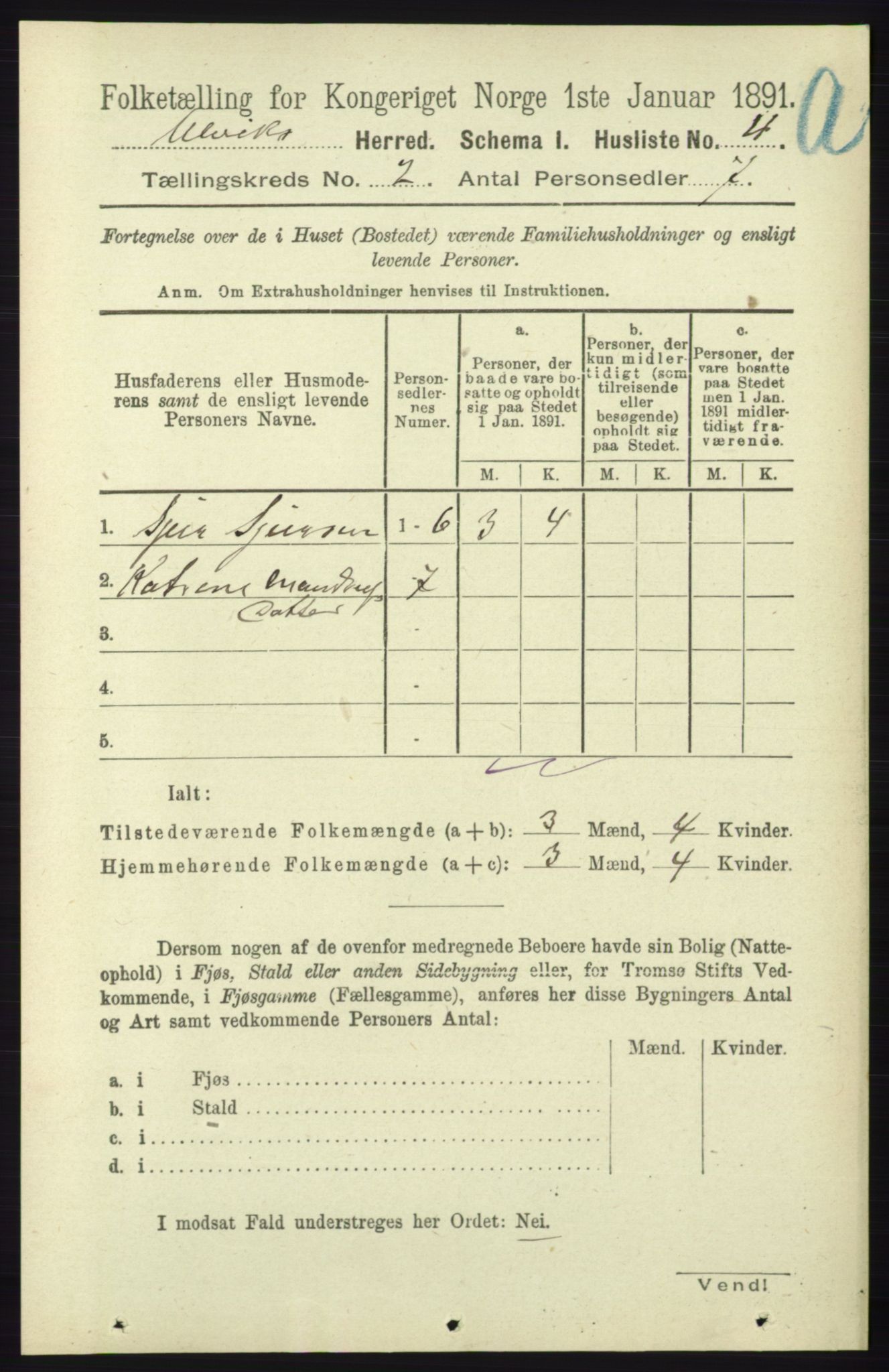 RA, 1891 census for 1233 Ulvik, 1891, p. 217