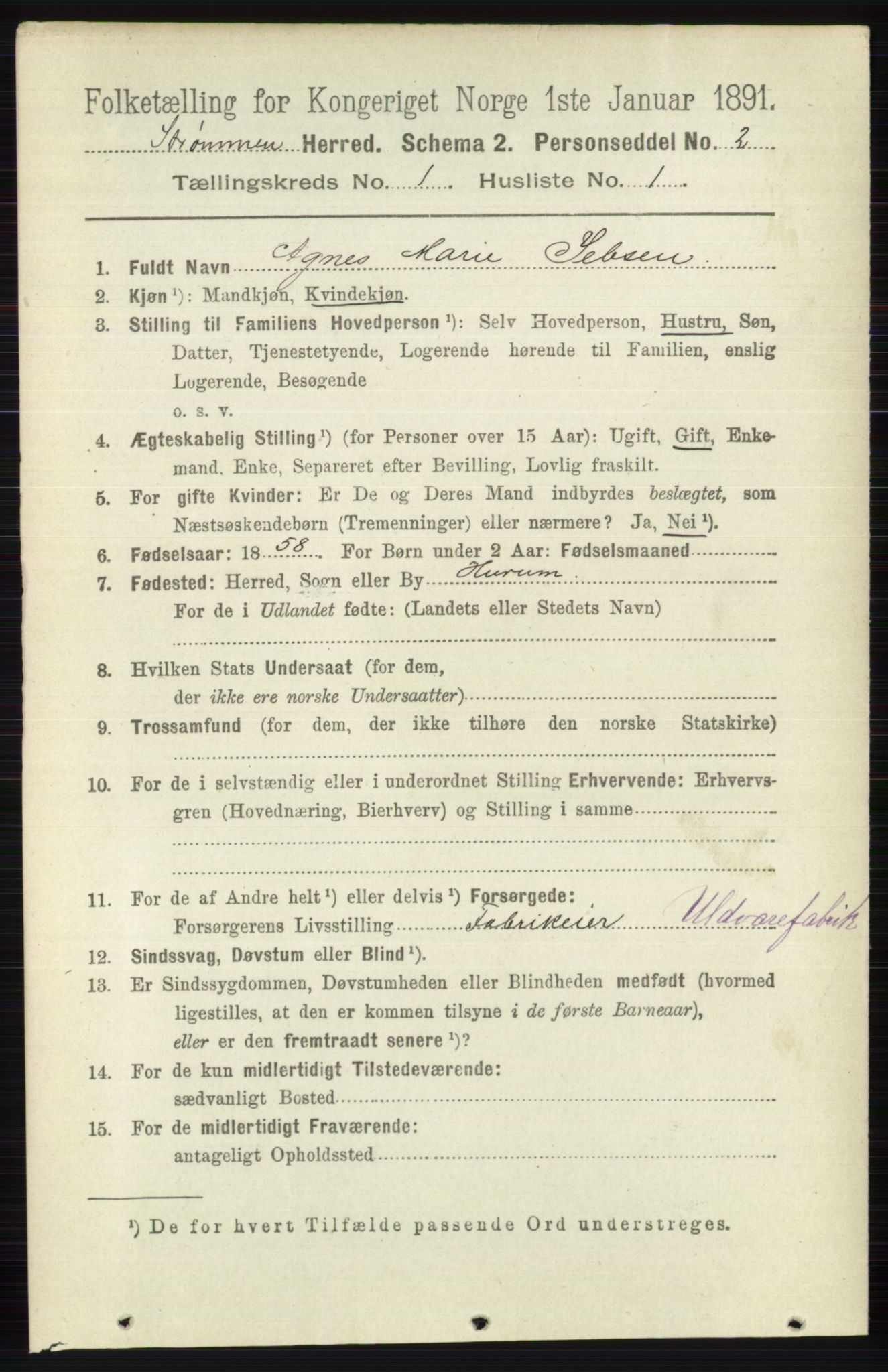 RA, 1891 census for 0711 Strømm, 1891, p. 61