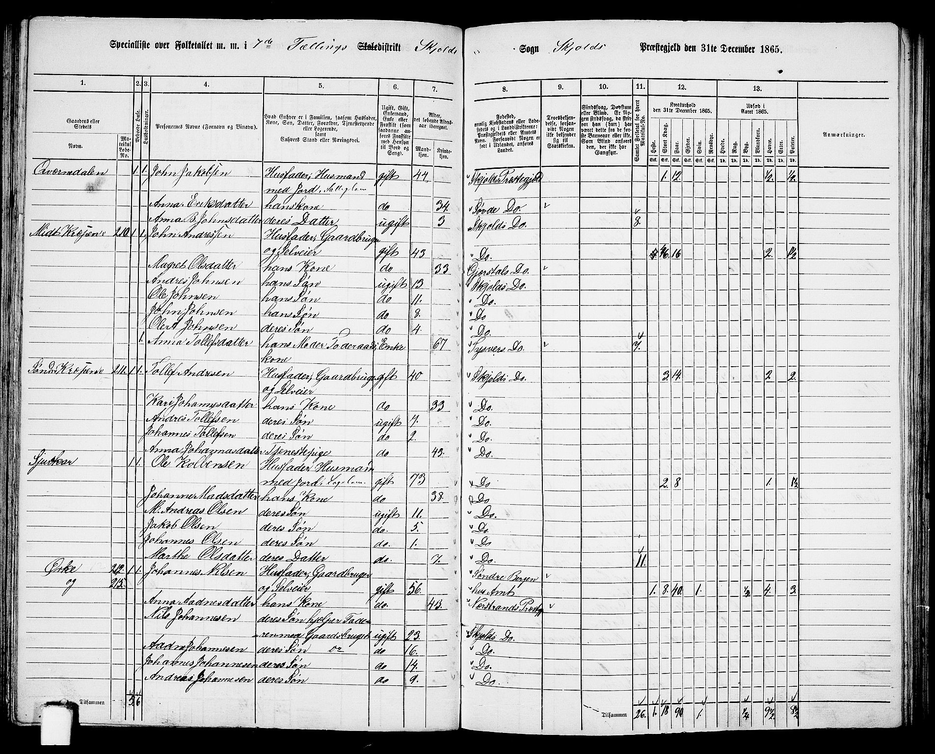 RA, 1865 census for Skjold, 1865, p. 99