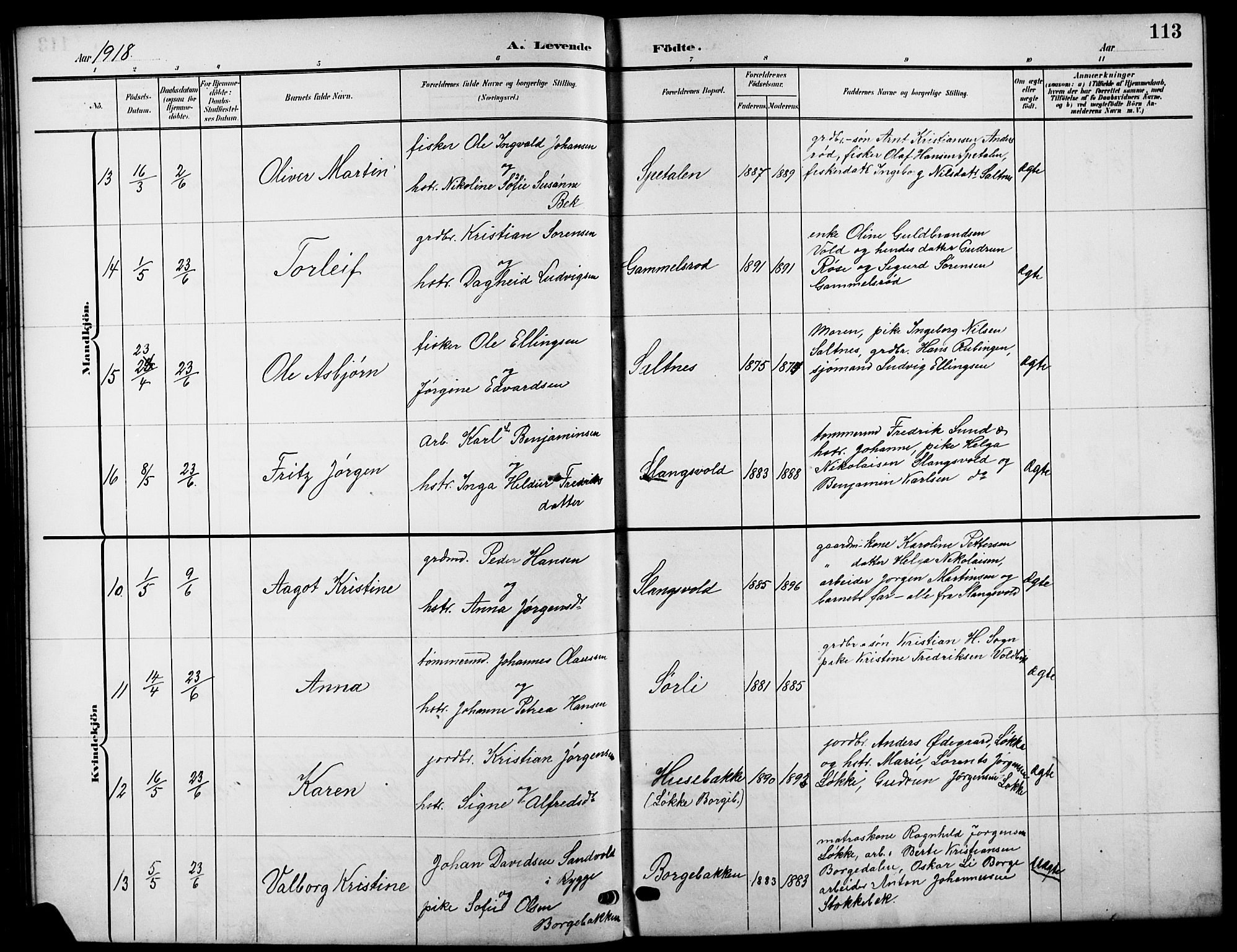 Råde prestekontor kirkebøker, SAO/A-2009/G/Ga/L0001: Parish register (copy) no. 1, 1903-1925, p. 113