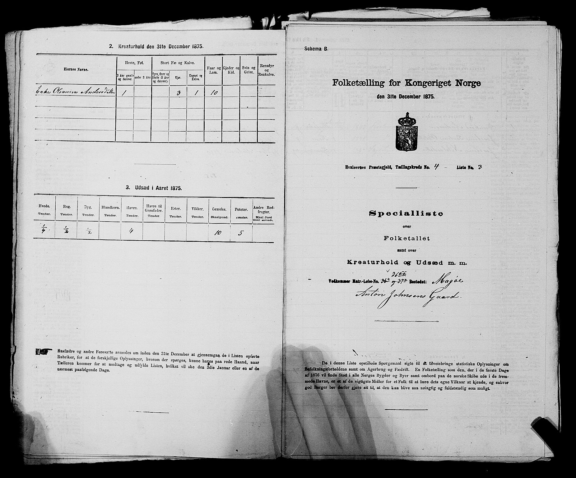 RA, 1875 census for 0111P Hvaler, 1875, p. 575