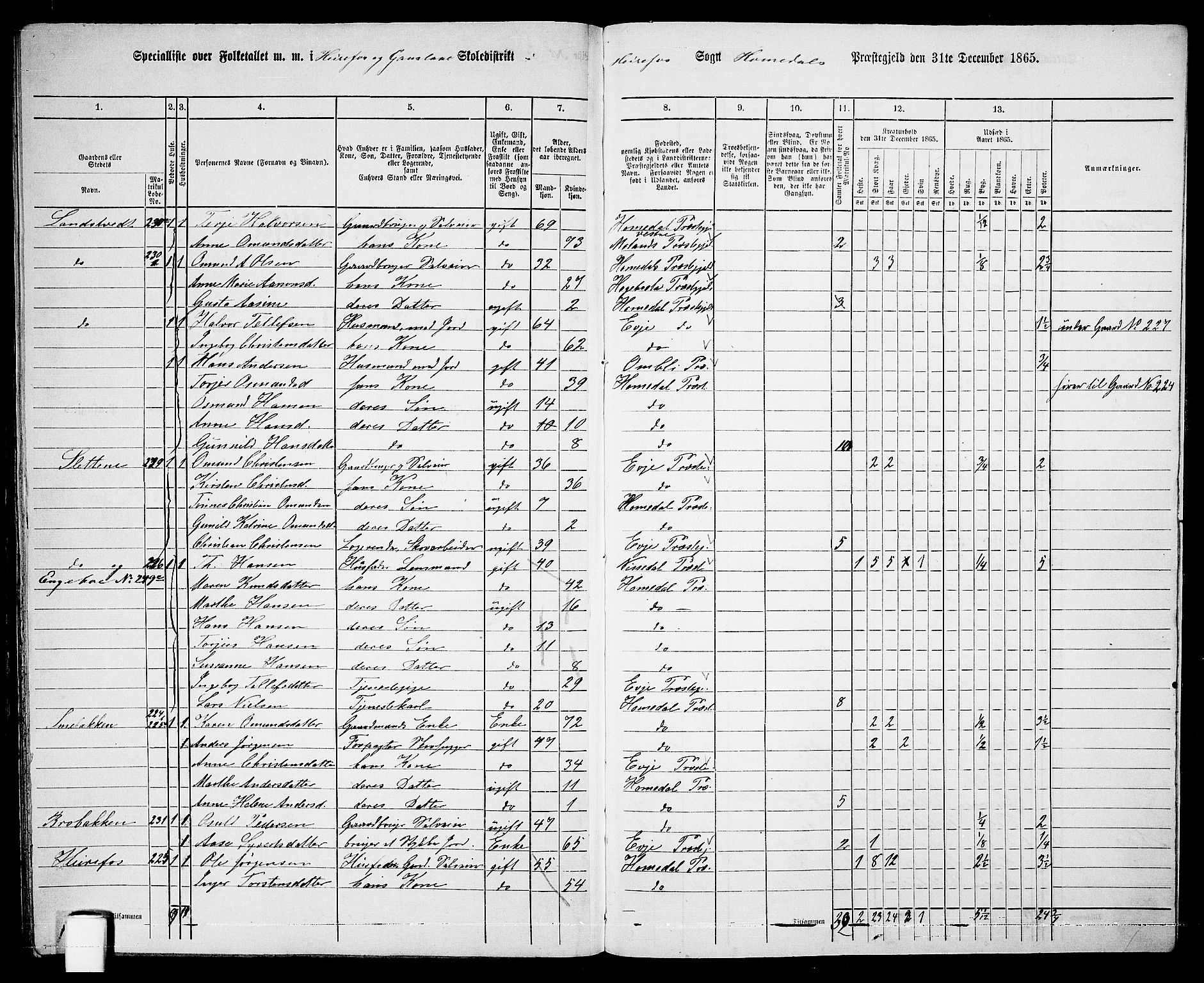 RA, 1865 census for Homedal, 1865, p. 163