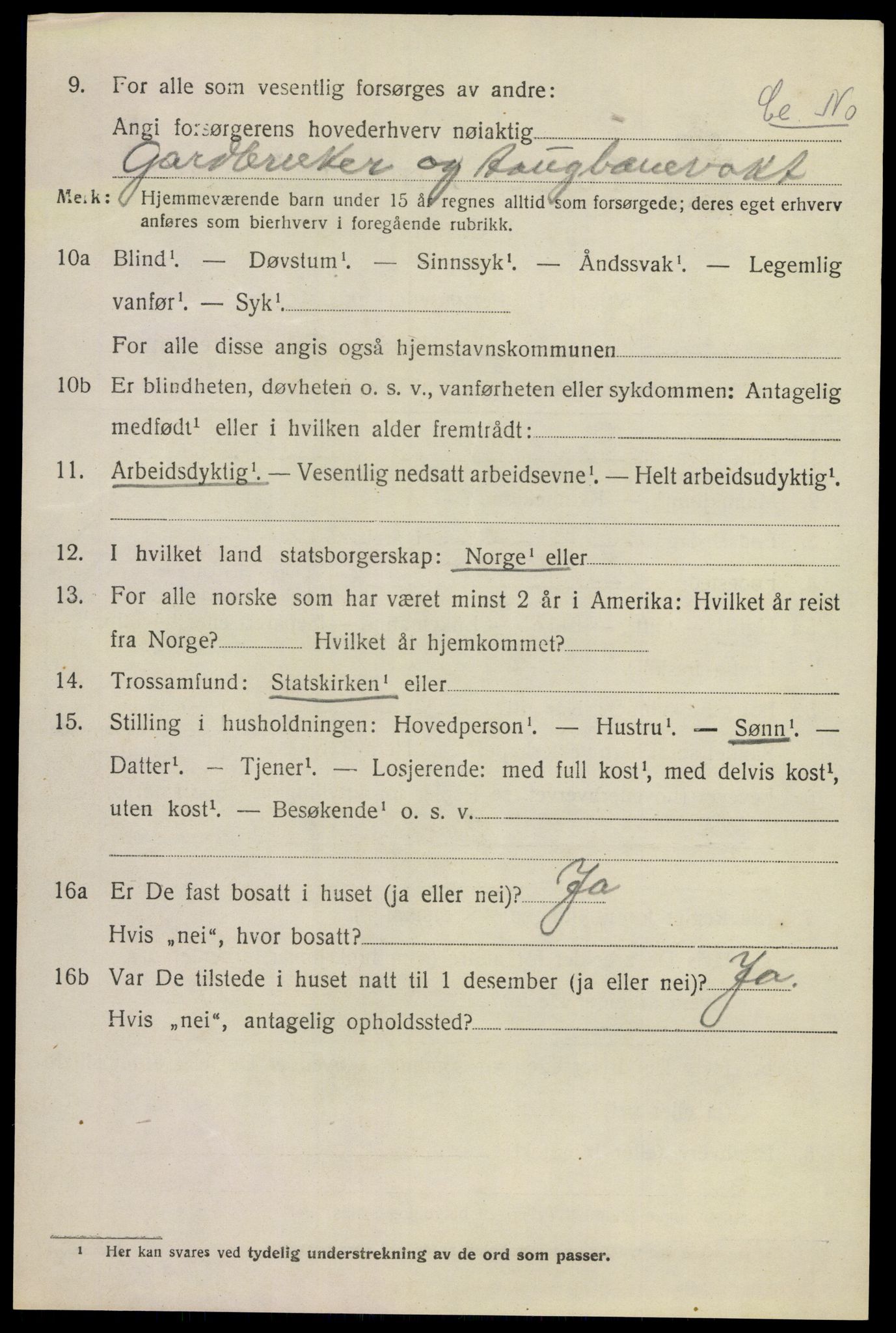 SAKO, 1920 census for Lier, 1920, p. 12487