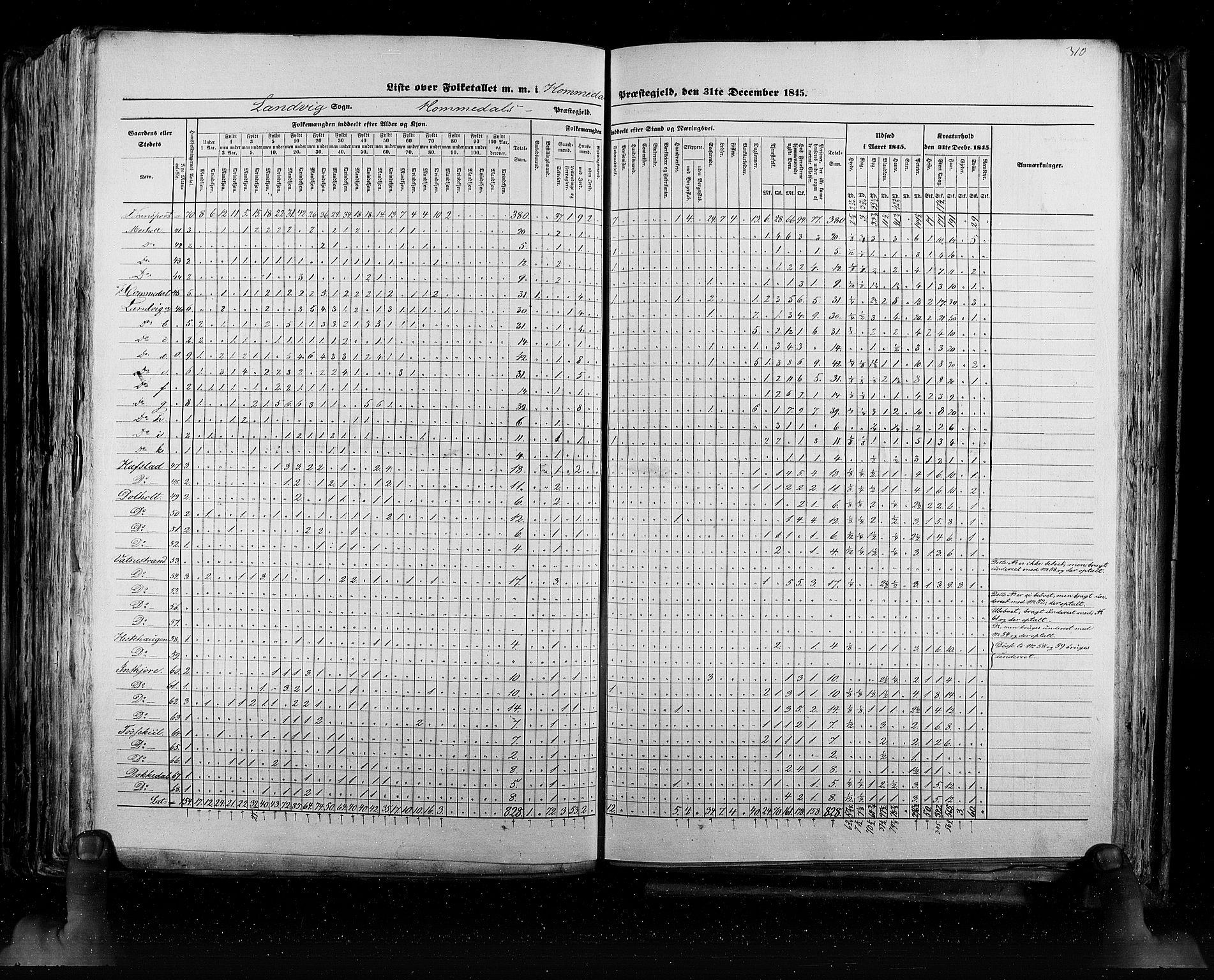 RA, Census 1845, vol. 5: Bratsberg amt og Nedenes og Råbyggelaget amt, 1845, p. 310