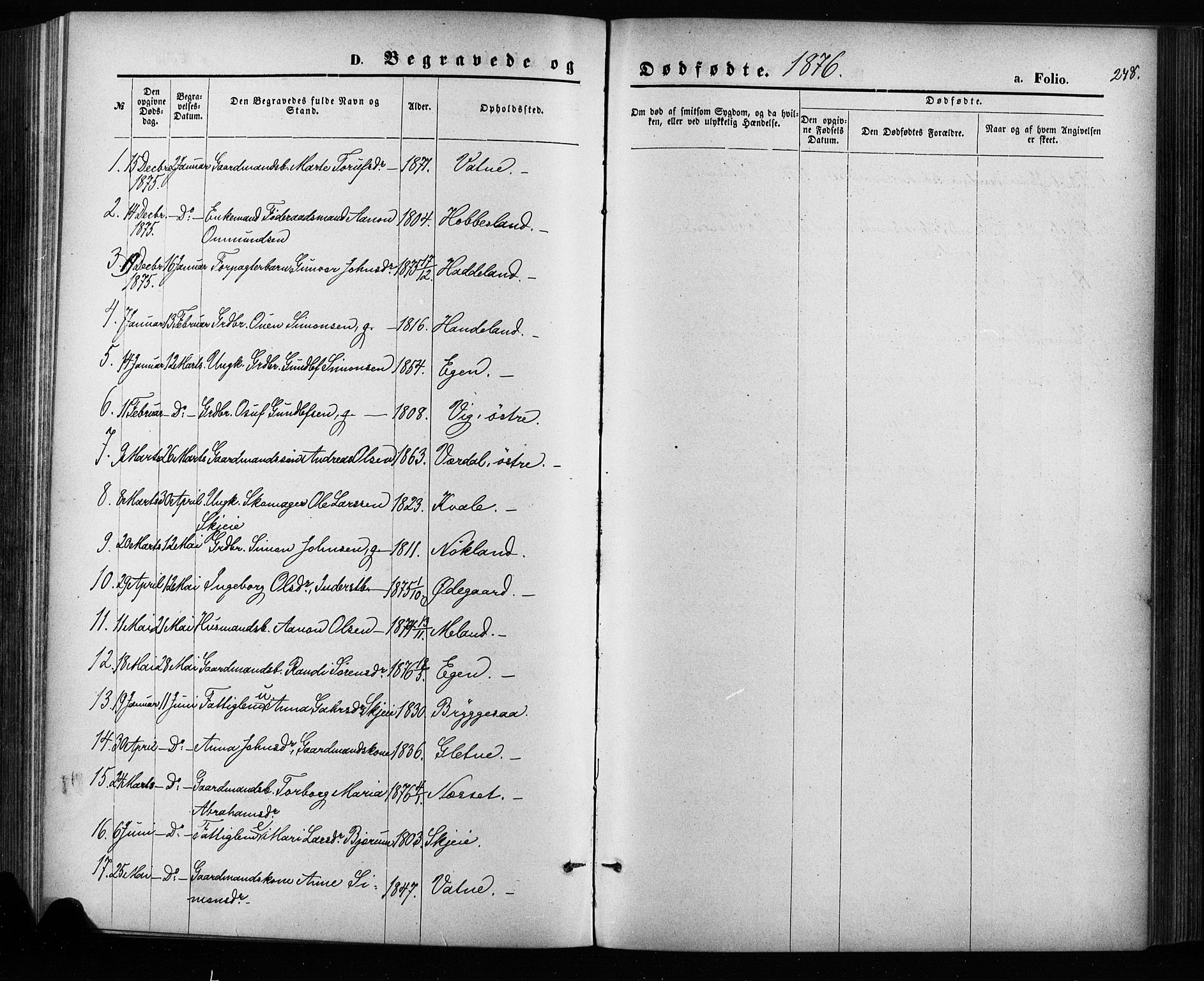 Hægebostad sokneprestkontor, SAK/1111-0024/F/Fa/Fab/L0003: Parish register (official) no. A 3, 1872-1886, p. 248