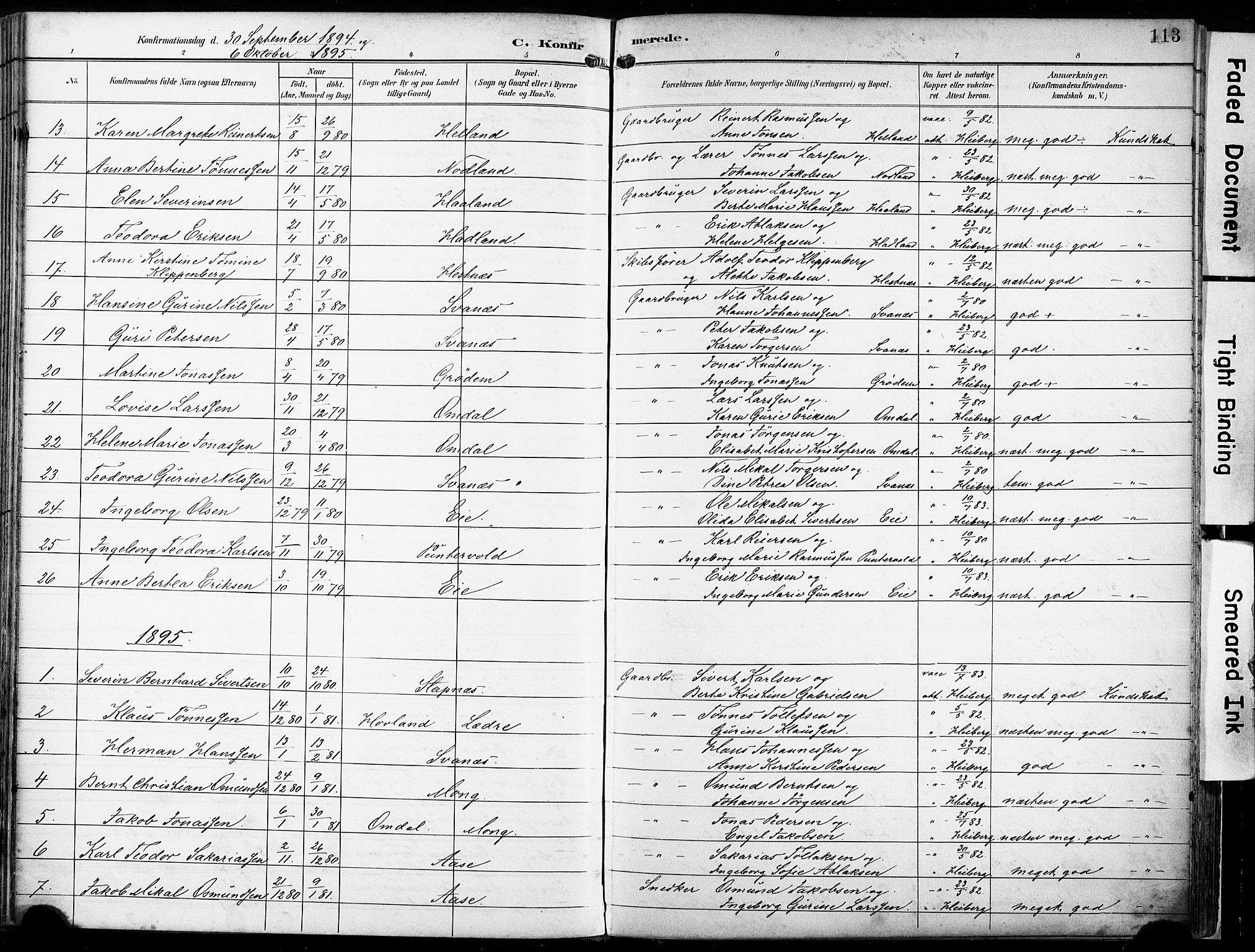Eigersund sokneprestkontor, SAST/A-101807/S08/L0018: Parish register (official) no. A 17, 1892-1905, p. 113