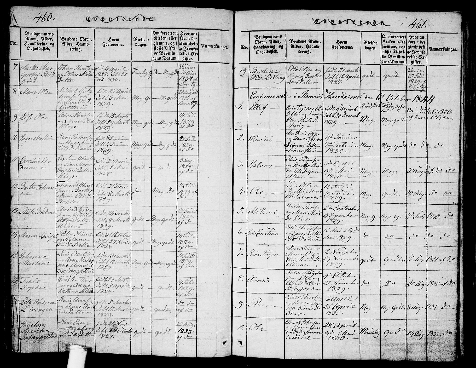 Ramnes kirkebøker, SAKO/A-314/G/Ga/L0001: Parish register (copy) no. I 1, 1813-1847, p. 460-461