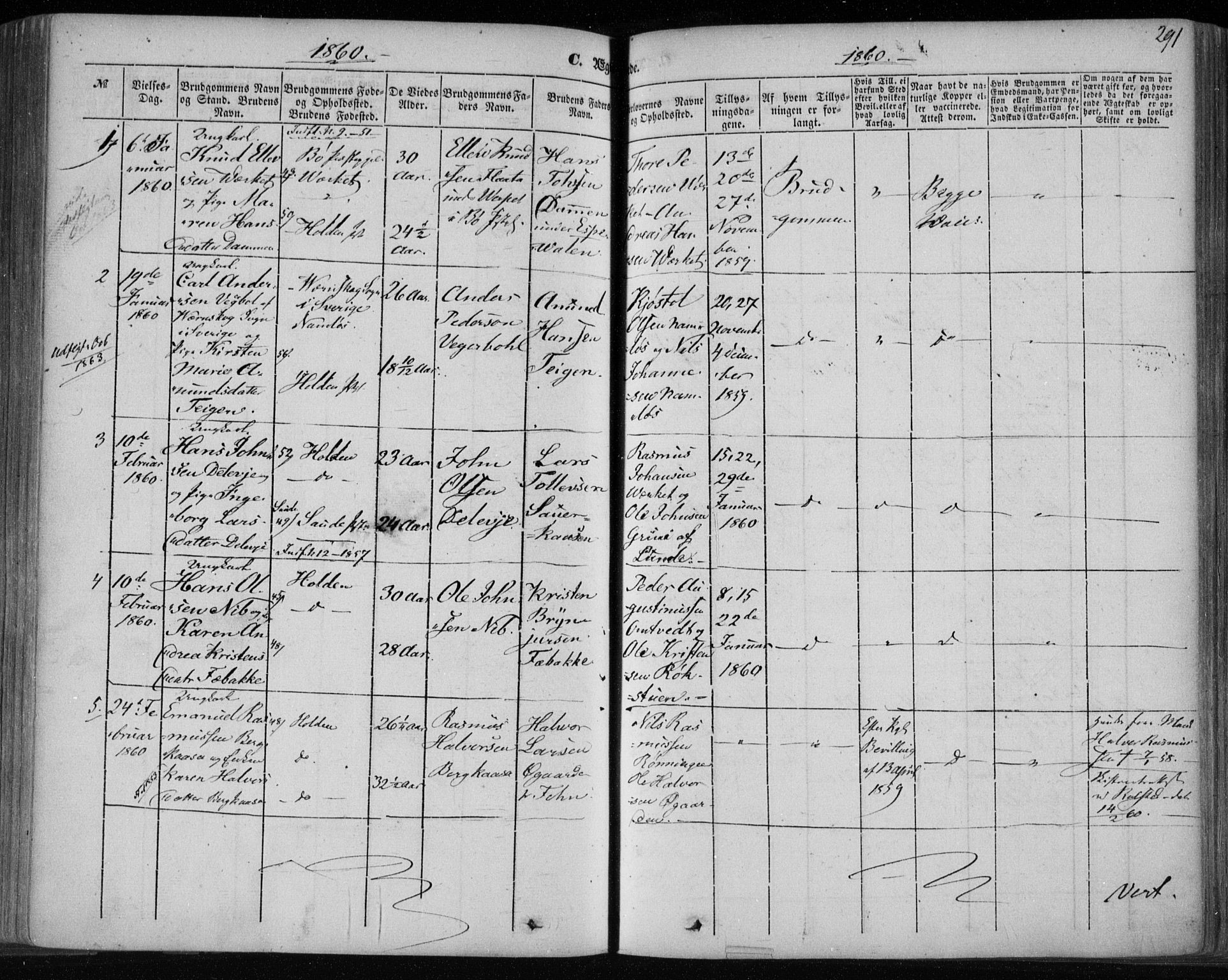 Holla kirkebøker, SAKO/A-272/F/Fa/L0005: Parish register (official) no. 5, 1849-1860, p. 291