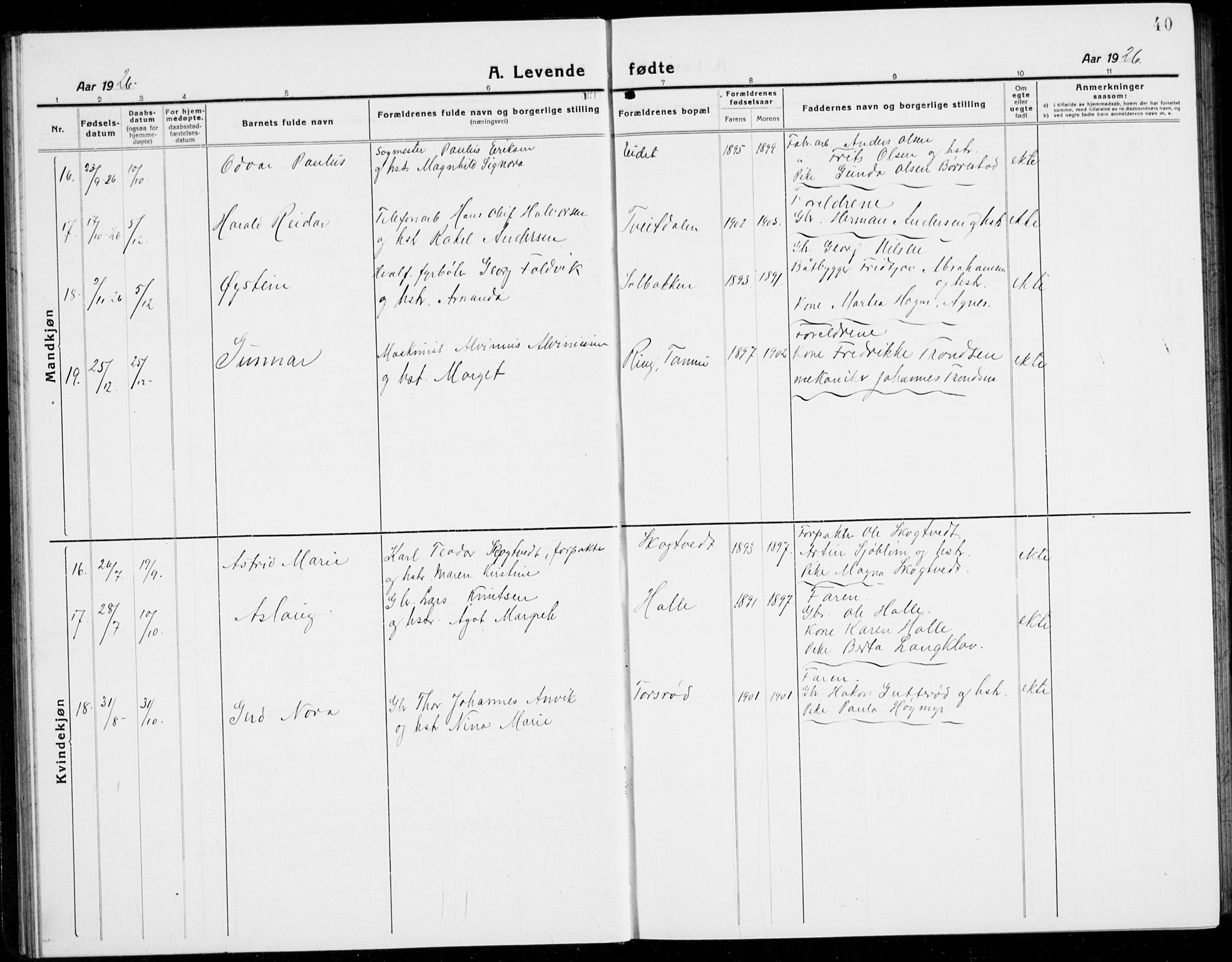 Brunlanes kirkebøker, AV/SAKO-A-342/G/Ga/L0005: Parish register (copy) no. I 5, 1918-1941, p. 40