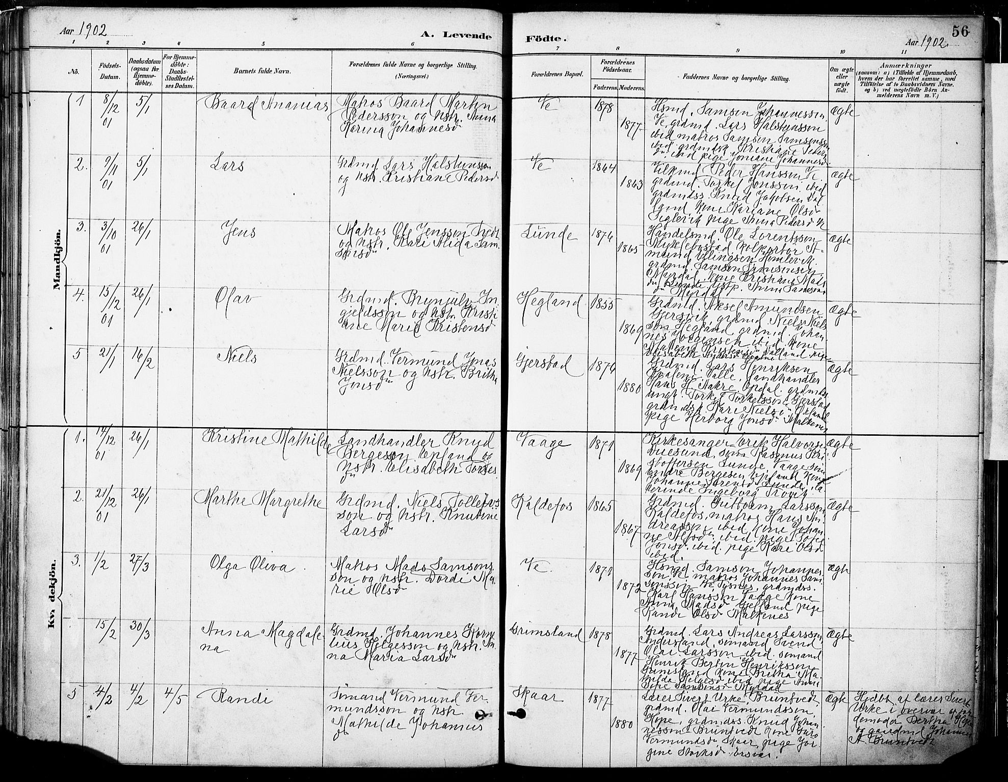 Tysnes sokneprestembete, SAB/A-78601/H/Haa: Parish register (official) no. B 1, 1887-1906, p. 56