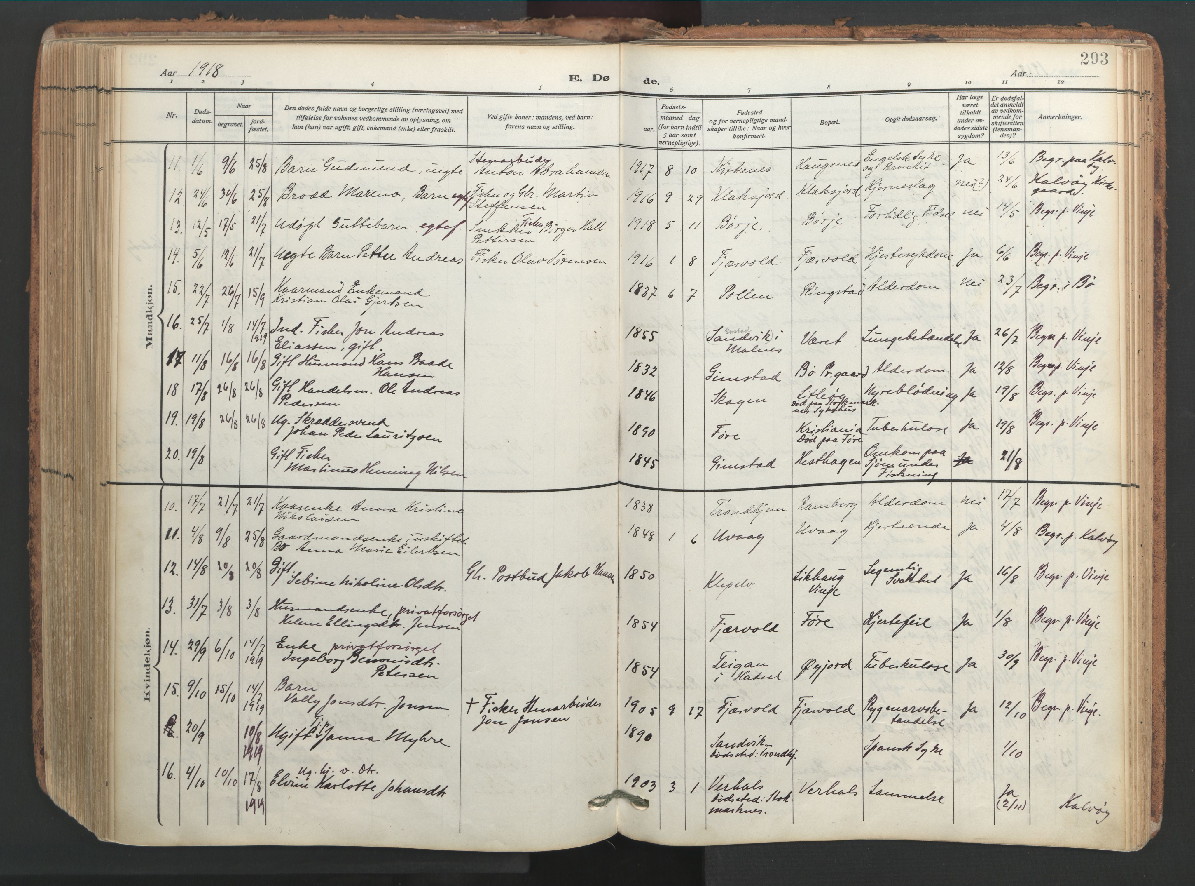 Ministerialprotokoller, klokkerbøker og fødselsregistre - Nordland, SAT/A-1459/891/L1306: Parish register (official) no. 891A11, 1911-1927, p. 293