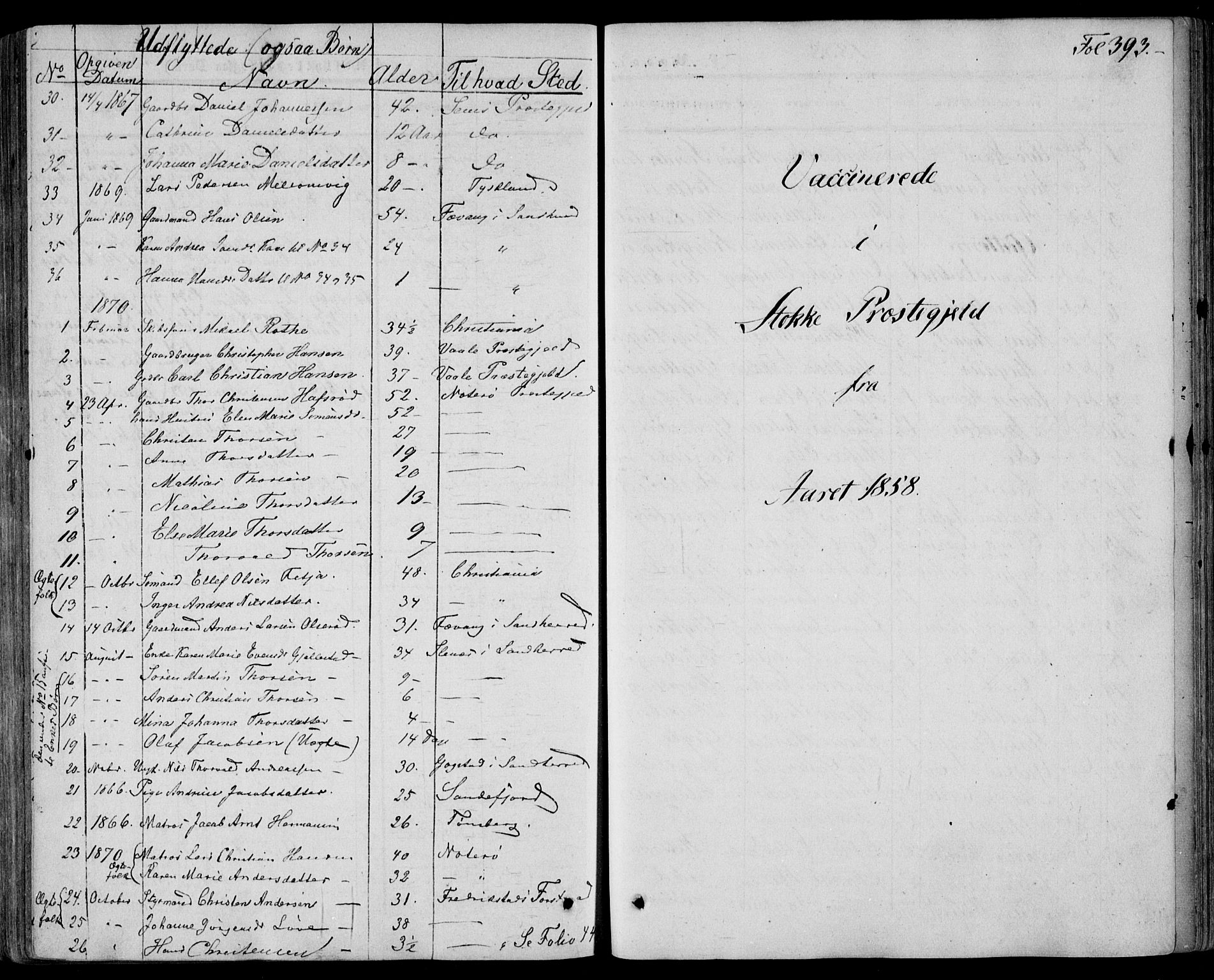 Stokke kirkebøker, AV/SAKO-A-320/F/Fa/L0008: Parish register (official) no. I 8, 1858-1871, p. 393