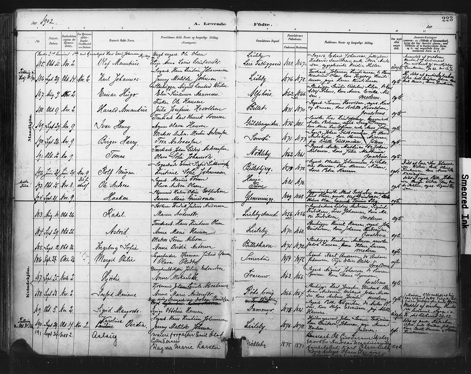 Glemmen prestekontor Kirkebøker, AV/SAO-A-10908/F/Fa/L0013: Parish register (official) no. 13, 1892-1907, p. 223