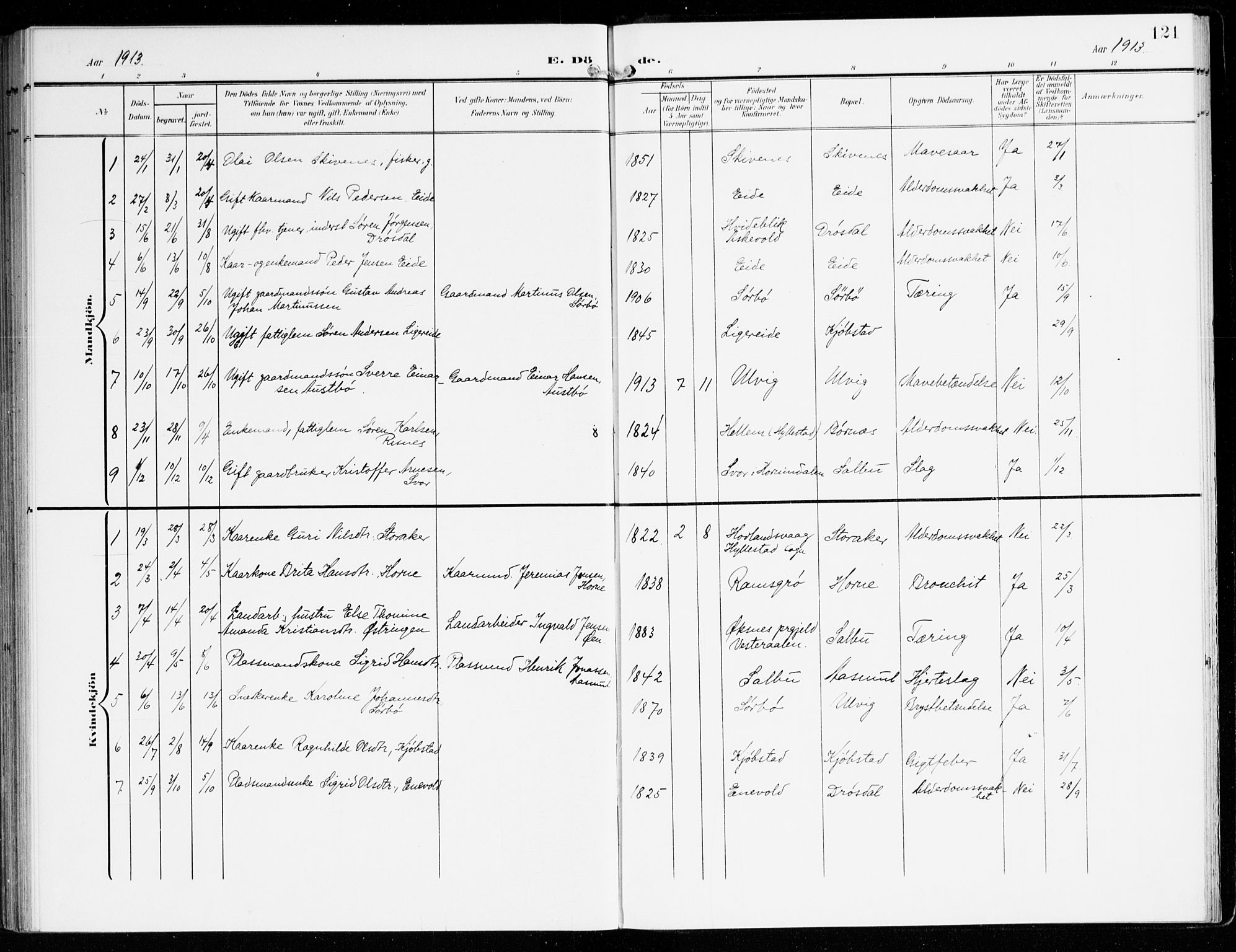 Hyllestad sokneprestembete, SAB/A-80401: Parish register (official) no. D 2, 1905-1919, p. 121