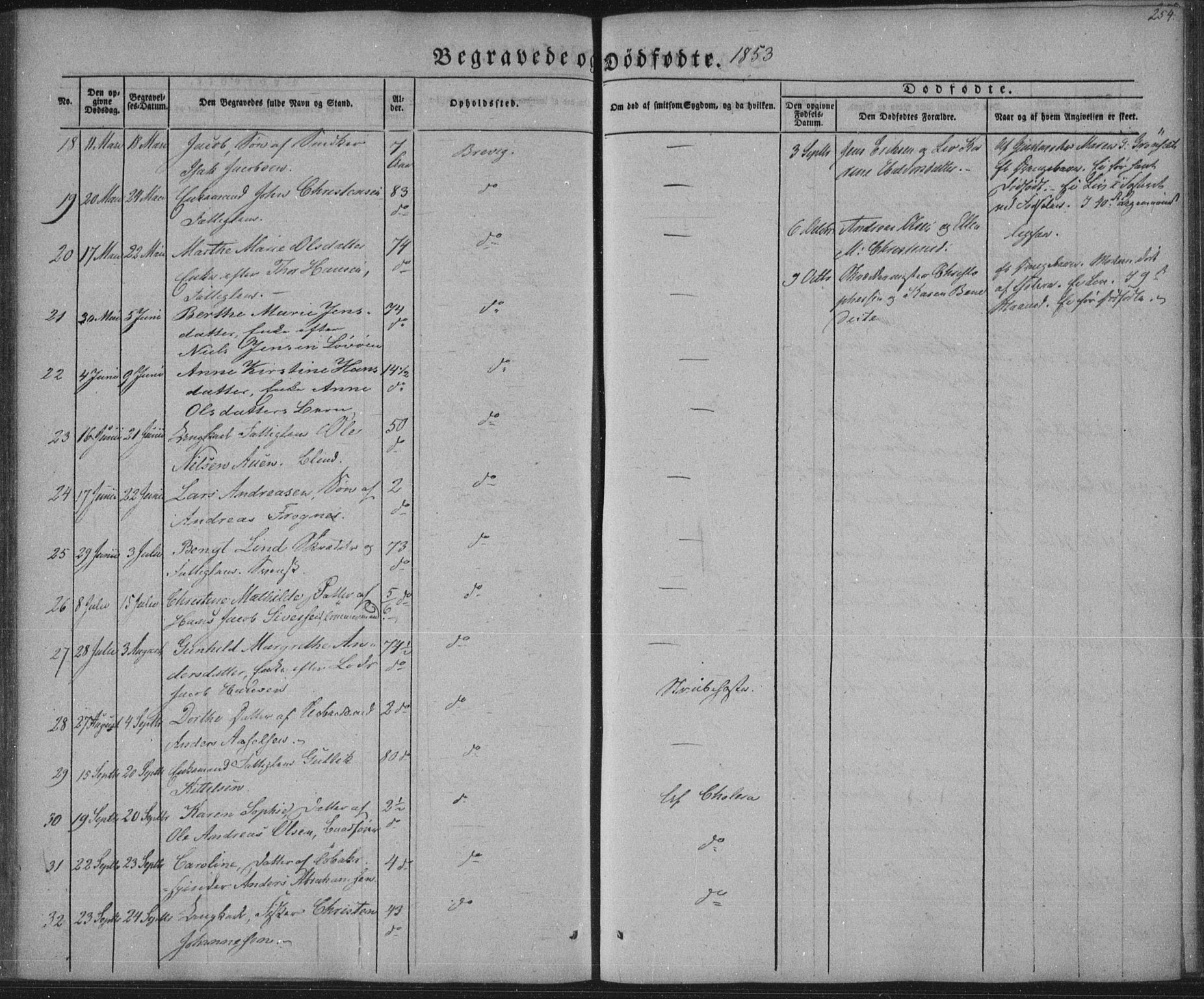 Brevik kirkebøker, AV/SAKO-A-255/F/Fa/L0005: Parish register (official) no. 5, 1847-1865, p. 254