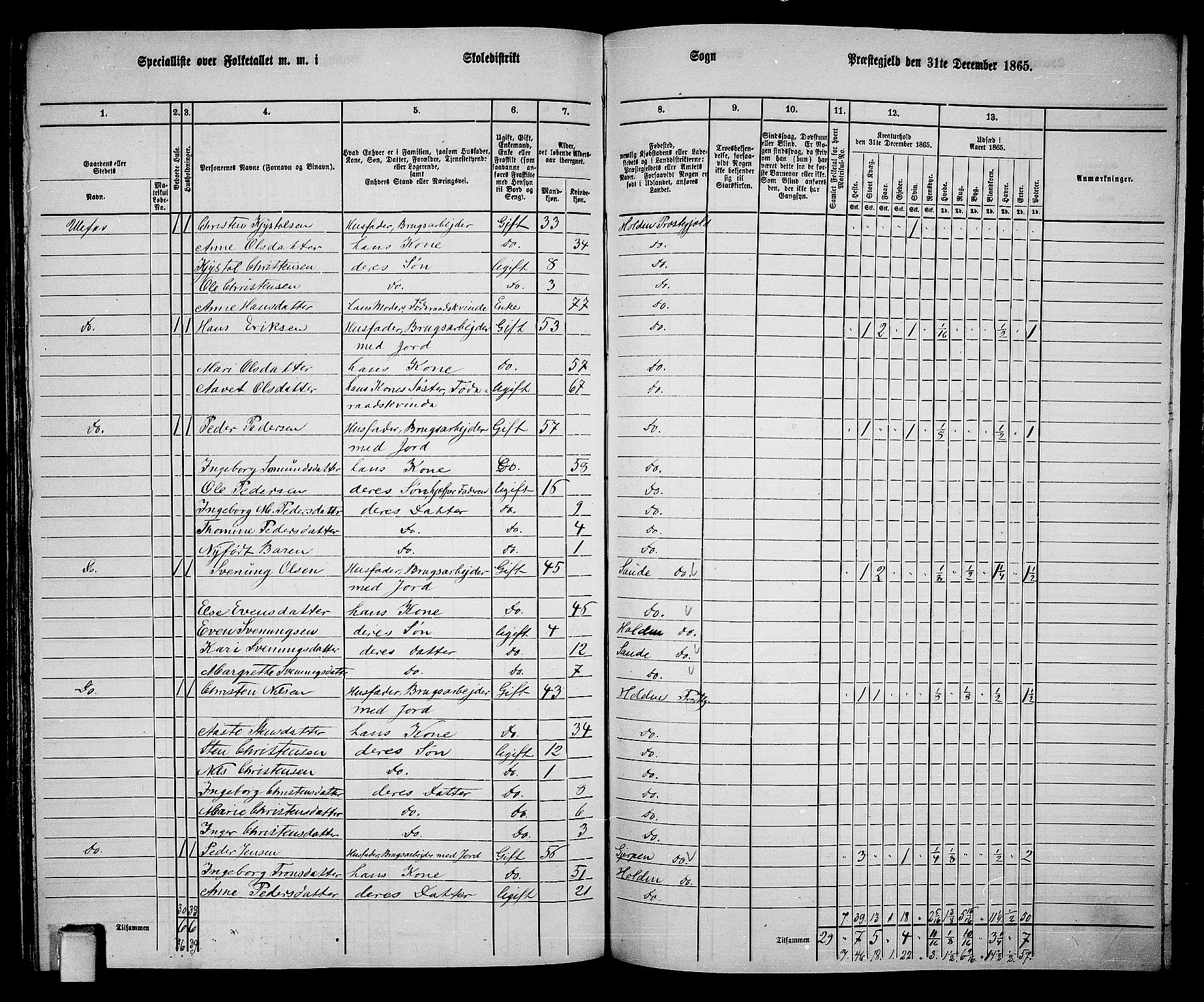 RA, 1865 census for Holla, 1865, p. 138