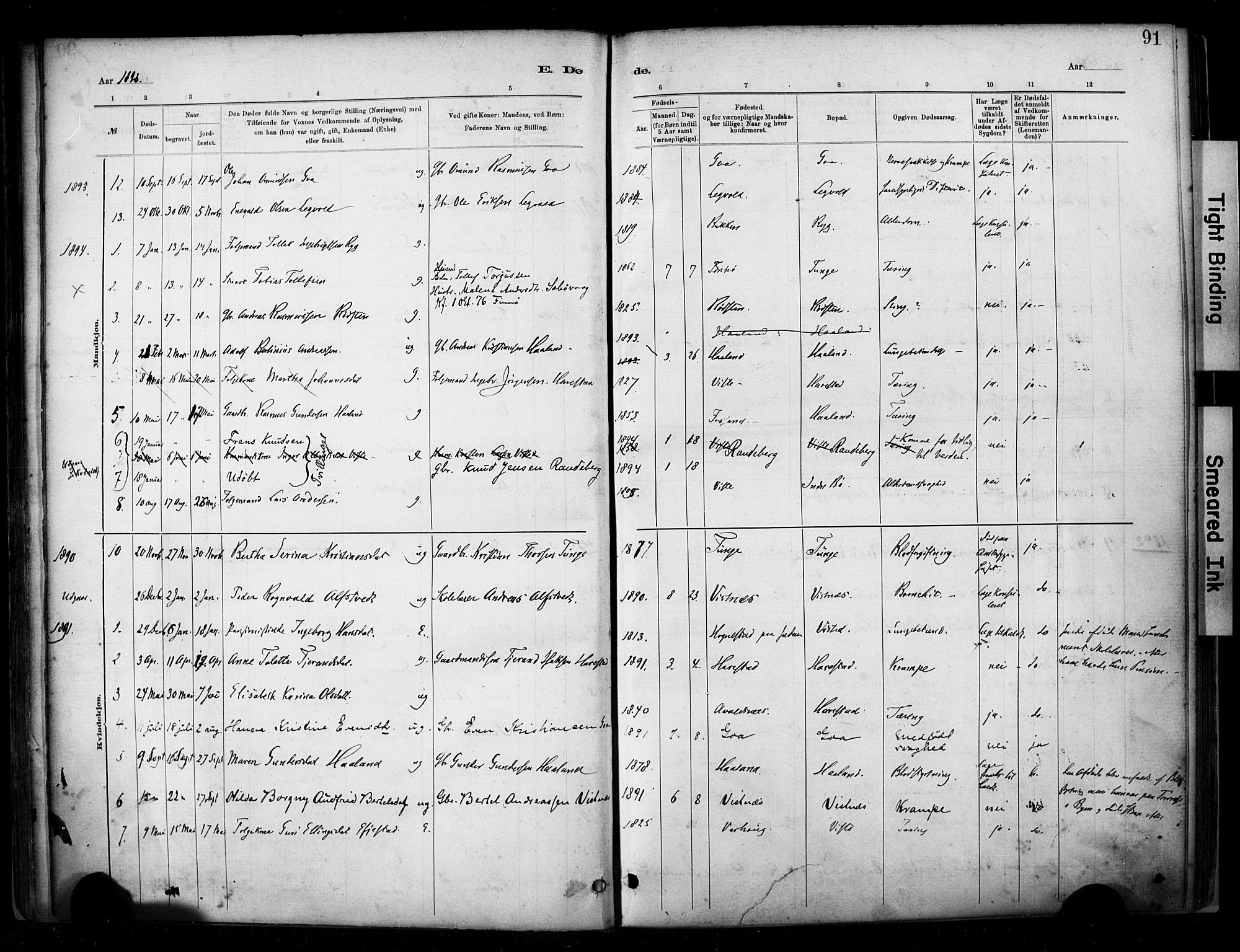 Hetland sokneprestkontor, SAST/A-101826/30/30BA/L0009: Parish register (official) no. A 9, 1882-1918, p. 91