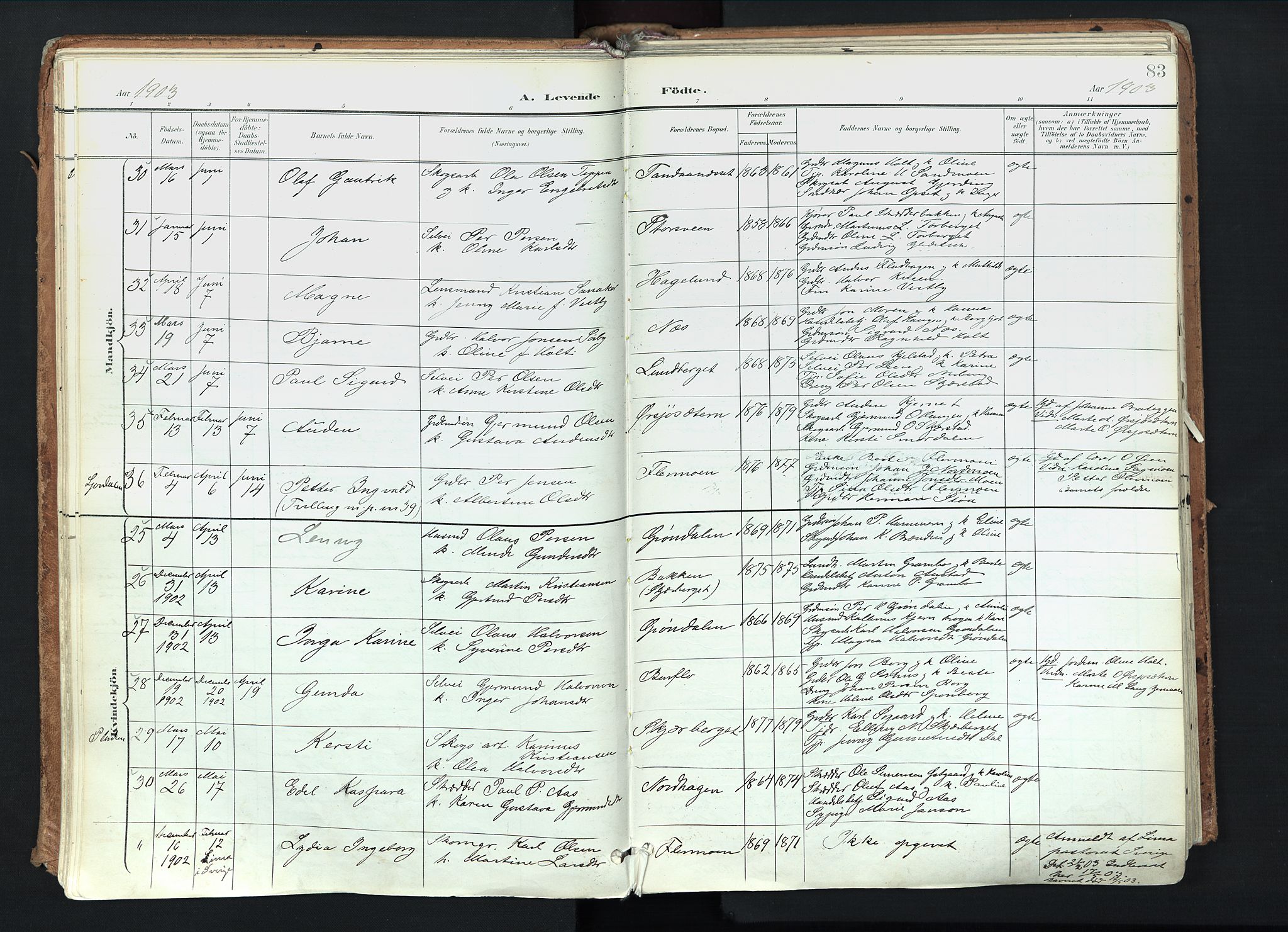 Trysil prestekontor, AV/SAH-PREST-046/H/Ha/Haa/L0012: Parish register (official) no. 12, 1898-1917, p. 83