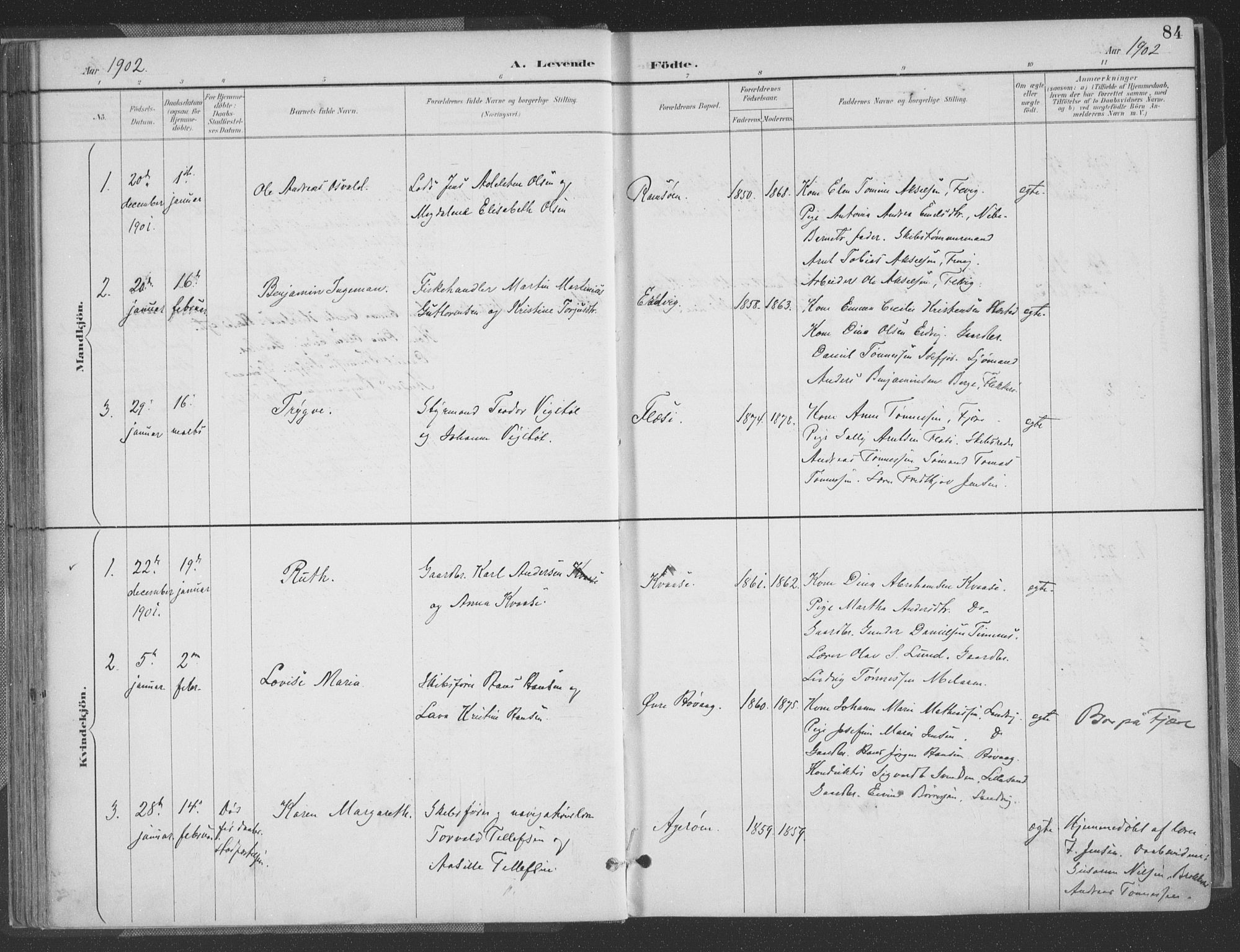 Høvåg sokneprestkontor, AV/SAK-1111-0025/F/Fa/L0006: Parish register (official) no. A 6, 1894-1923, p. 84