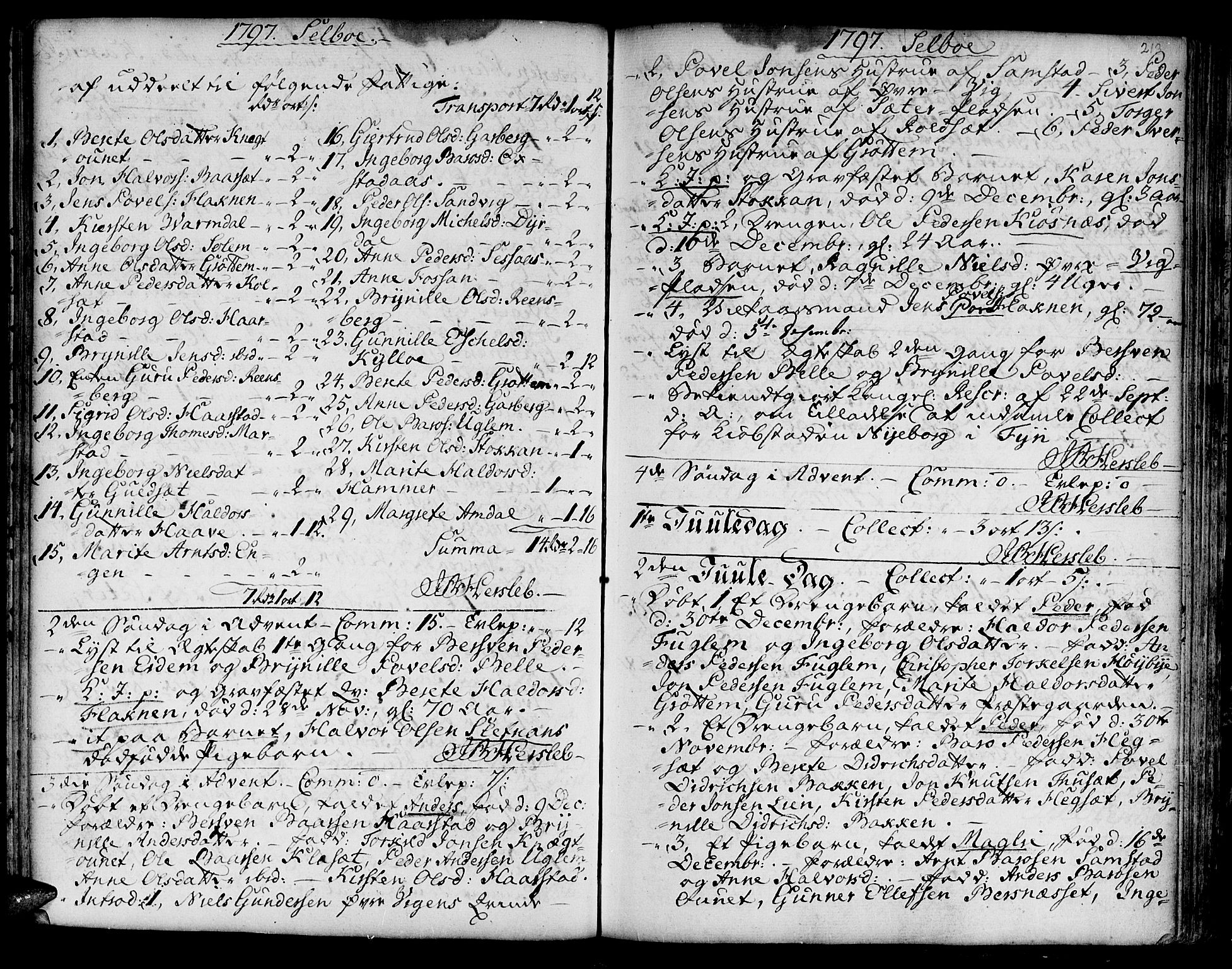 Ministerialprotokoller, klokkerbøker og fødselsregistre - Sør-Trøndelag, SAT/A-1456/695/L1138: Parish register (official) no. 695A02 /1, 1757-1801, p. 213