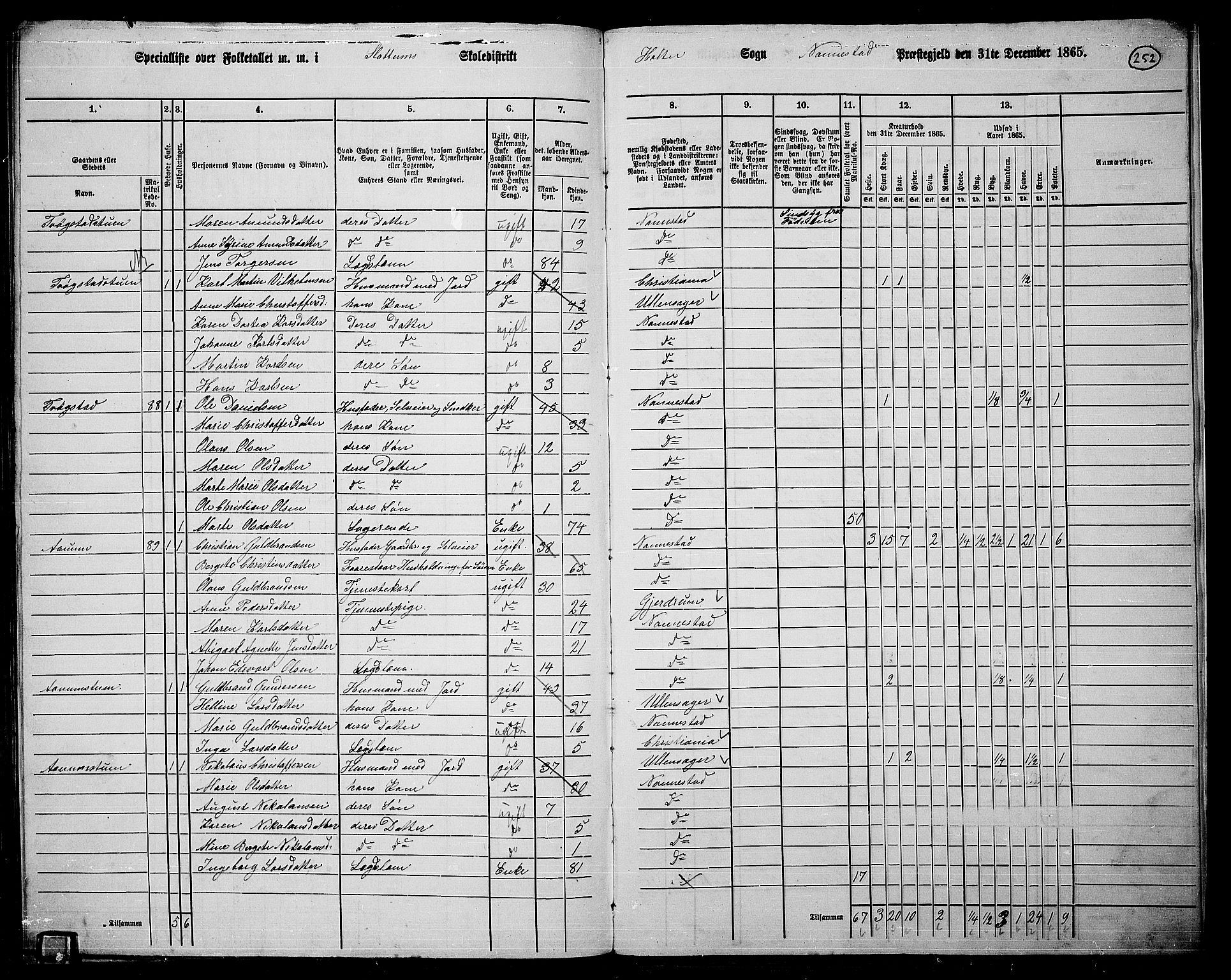 RA, 1865 census for Nannestad, 1865, p. 124