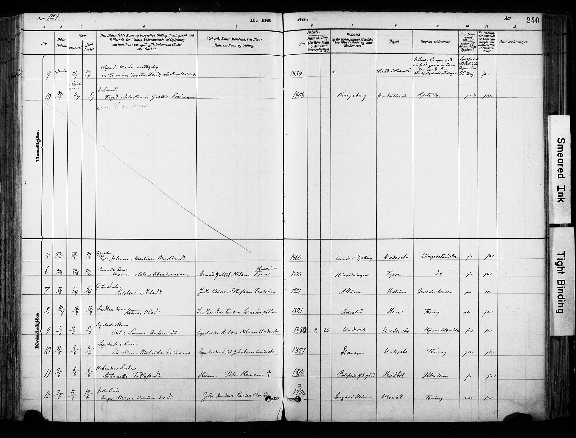 Hedrum kirkebøker, AV/SAKO-A-344/F/Fa/L0009: Parish register (official) no. I 9, 1881-1903, p. 240