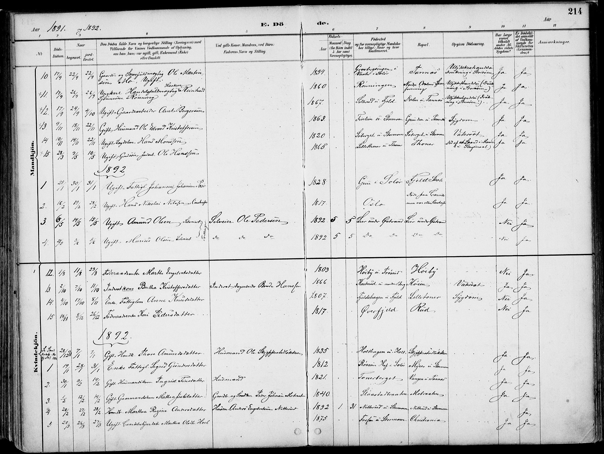 Nord-Odal prestekontor, SAH/PREST-032/H/Ha/Haa/L0008: Parish register (official) no. 8, 1886-1901, p. 214