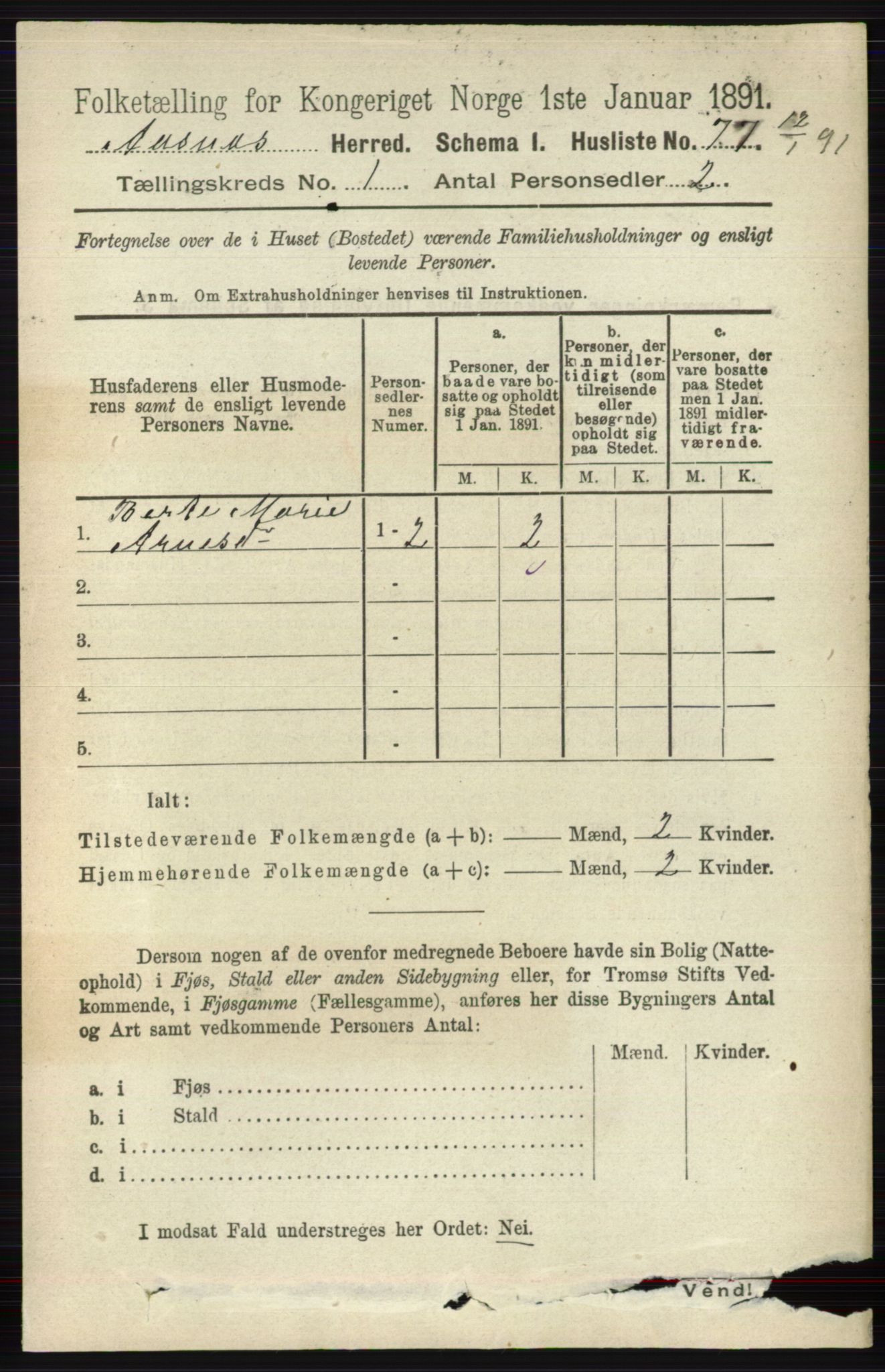 RA, 1891 census for 0425 Åsnes, 1891, p. 111