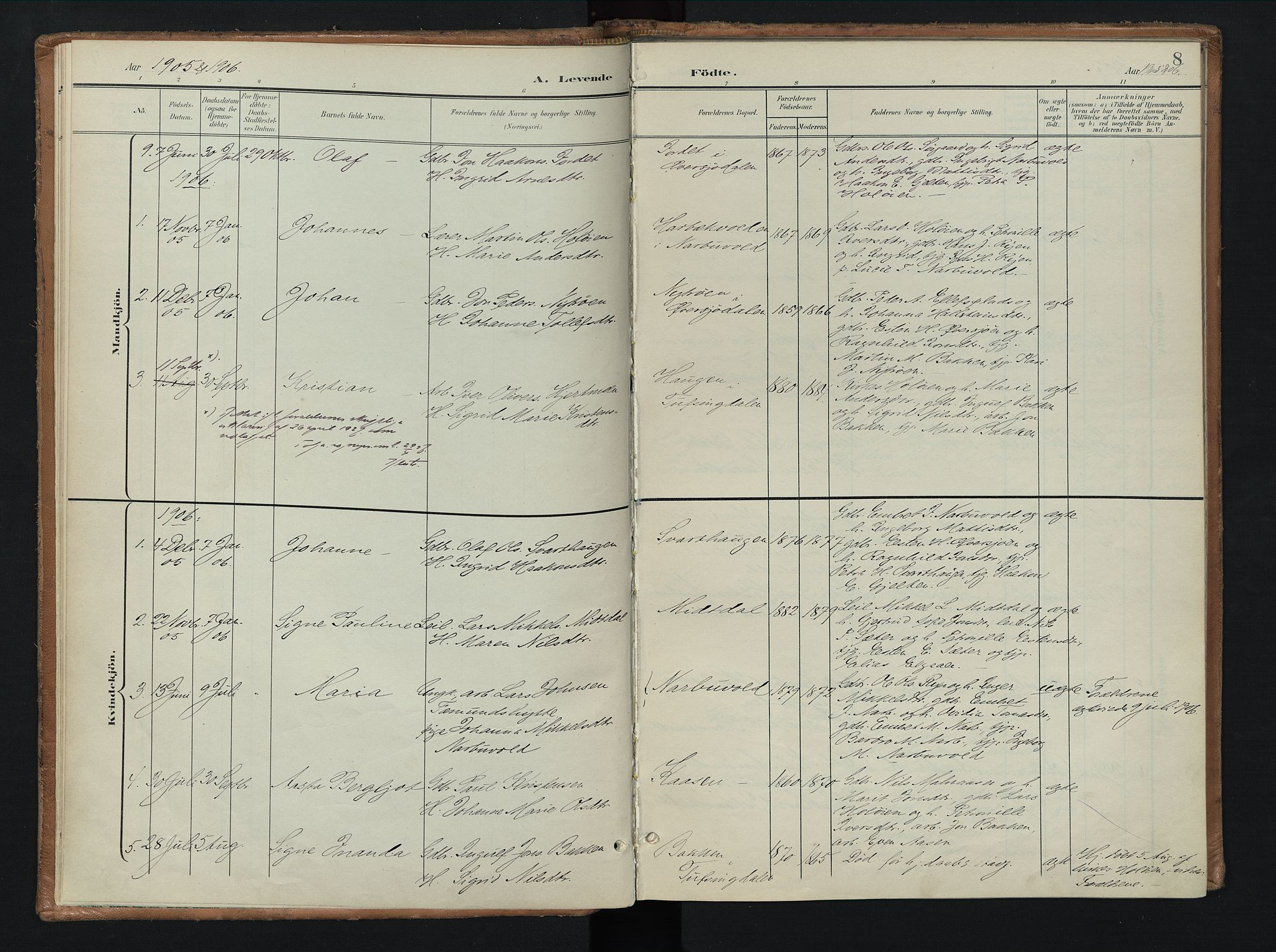Tolga prestekontor, SAH/PREST-062/K/L0010: Parish register (official) no. 10, 1901-1915, p. 8
