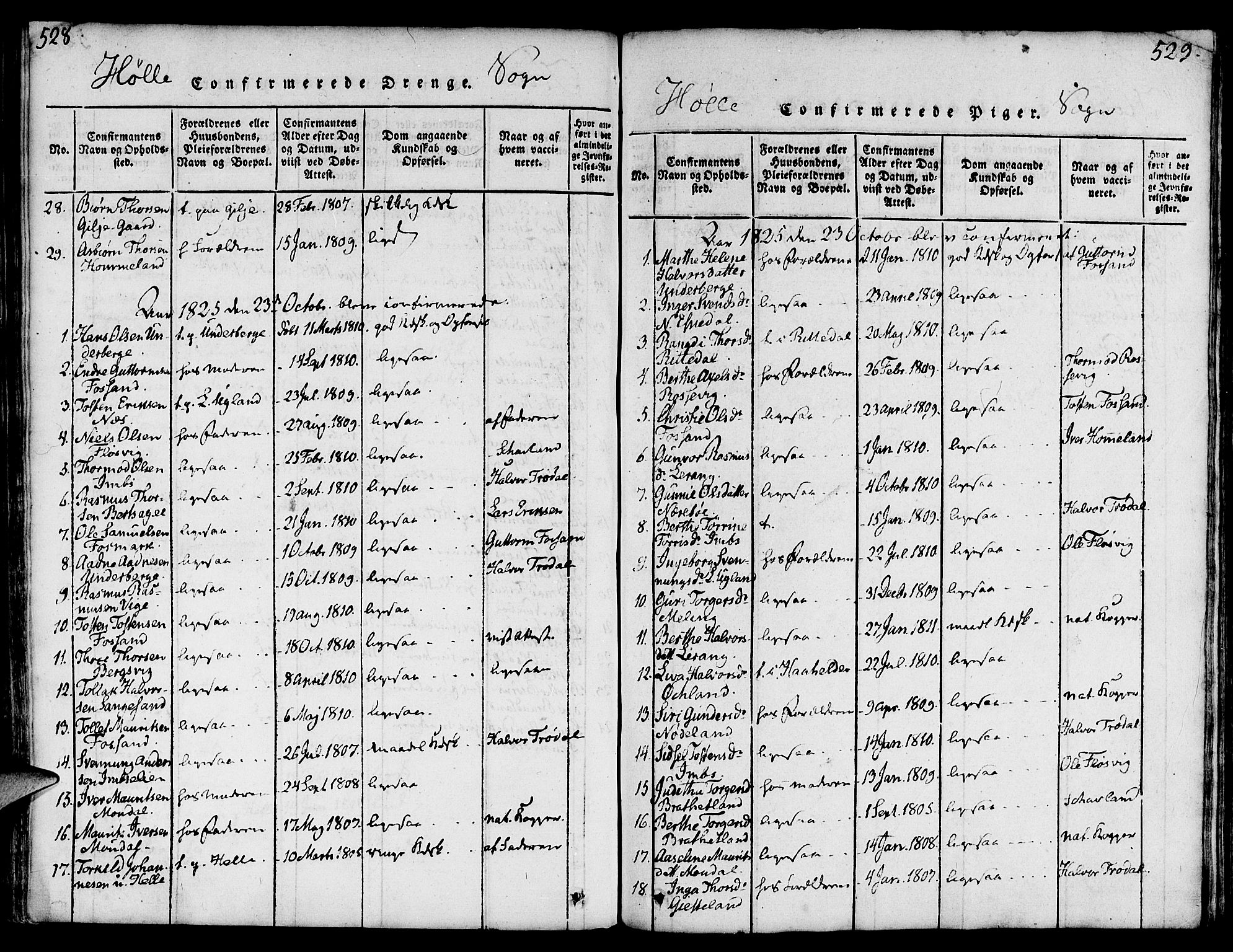 Strand sokneprestkontor, AV/SAST-A-101828/H/Ha/Haa/L0004: Parish register (official) no. A 4 /2, 1816-1833, p. 528-529