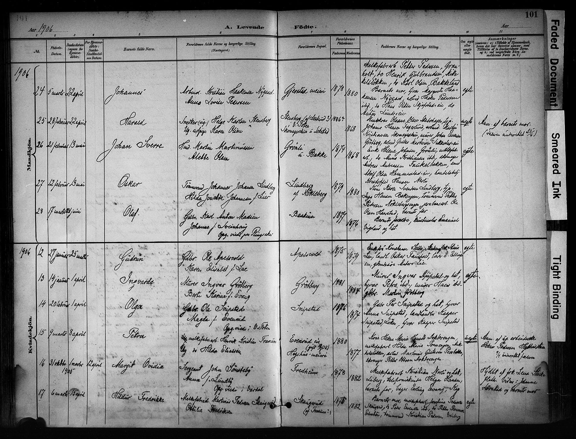 Østre Toten prestekontor, AV/SAH-PREST-104/H/Ha/Haa/L0008: Parish register (official) no. 8, 1897-1909, p. 101