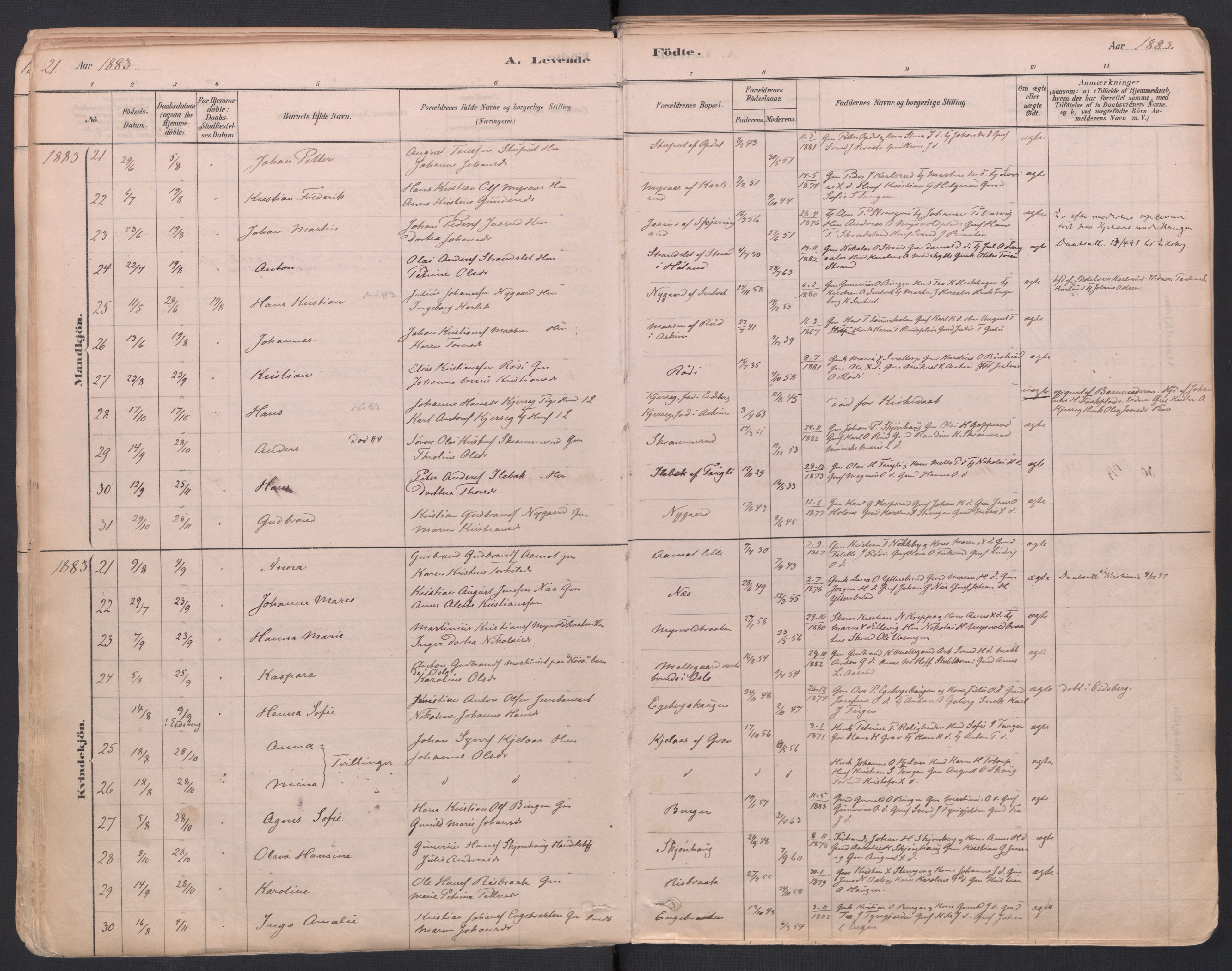 Trøgstad prestekontor Kirkebøker, SAO/A-10925/F/Fa/L0010: Parish register (official) no. I 10, 1878-1898, p. 21