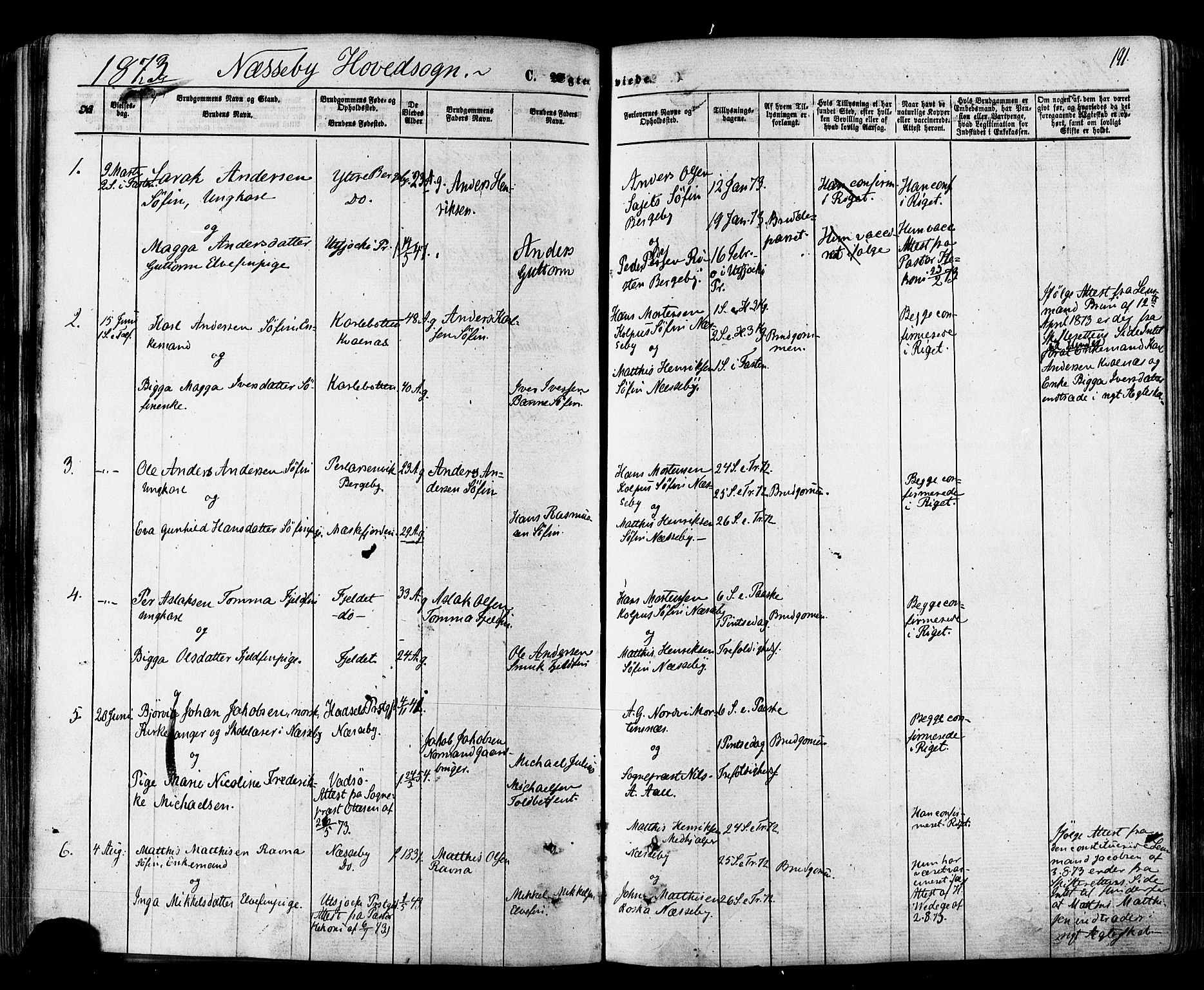 Nesseby sokneprestkontor, SATØ/S-1330/H/Ha/L0003kirke: Parish register (official) no. 3 /1, 1865-1876, p. 191