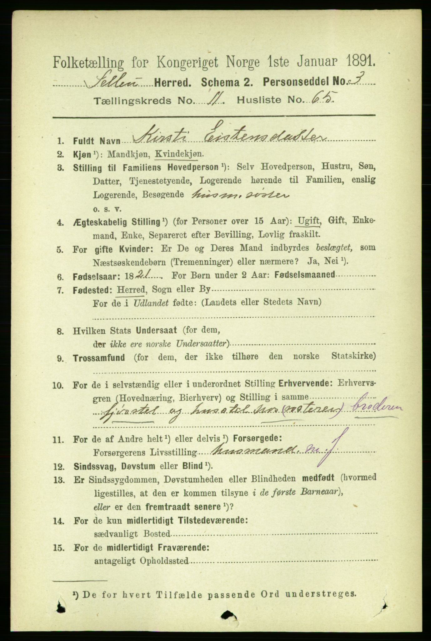 RA, 1891 census for 1664 Selbu, 1891, p. 4365