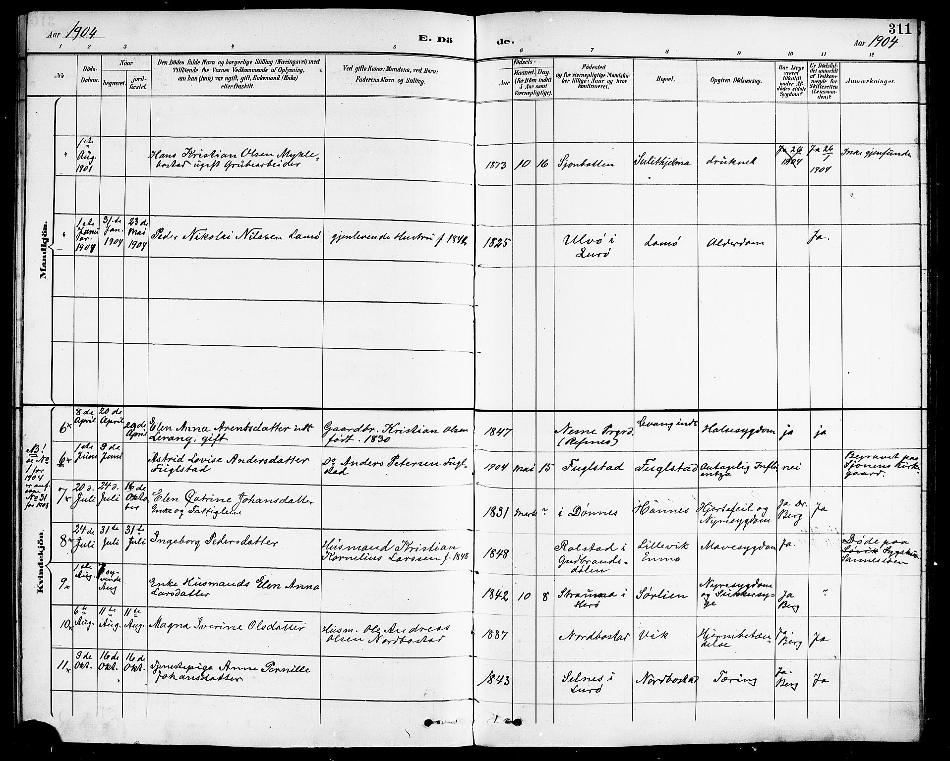 Ministerialprotokoller, klokkerbøker og fødselsregistre - Nordland, AV/SAT-A-1459/838/L0559: Parish register (copy) no. 838C06, 1893-1910, p. 311