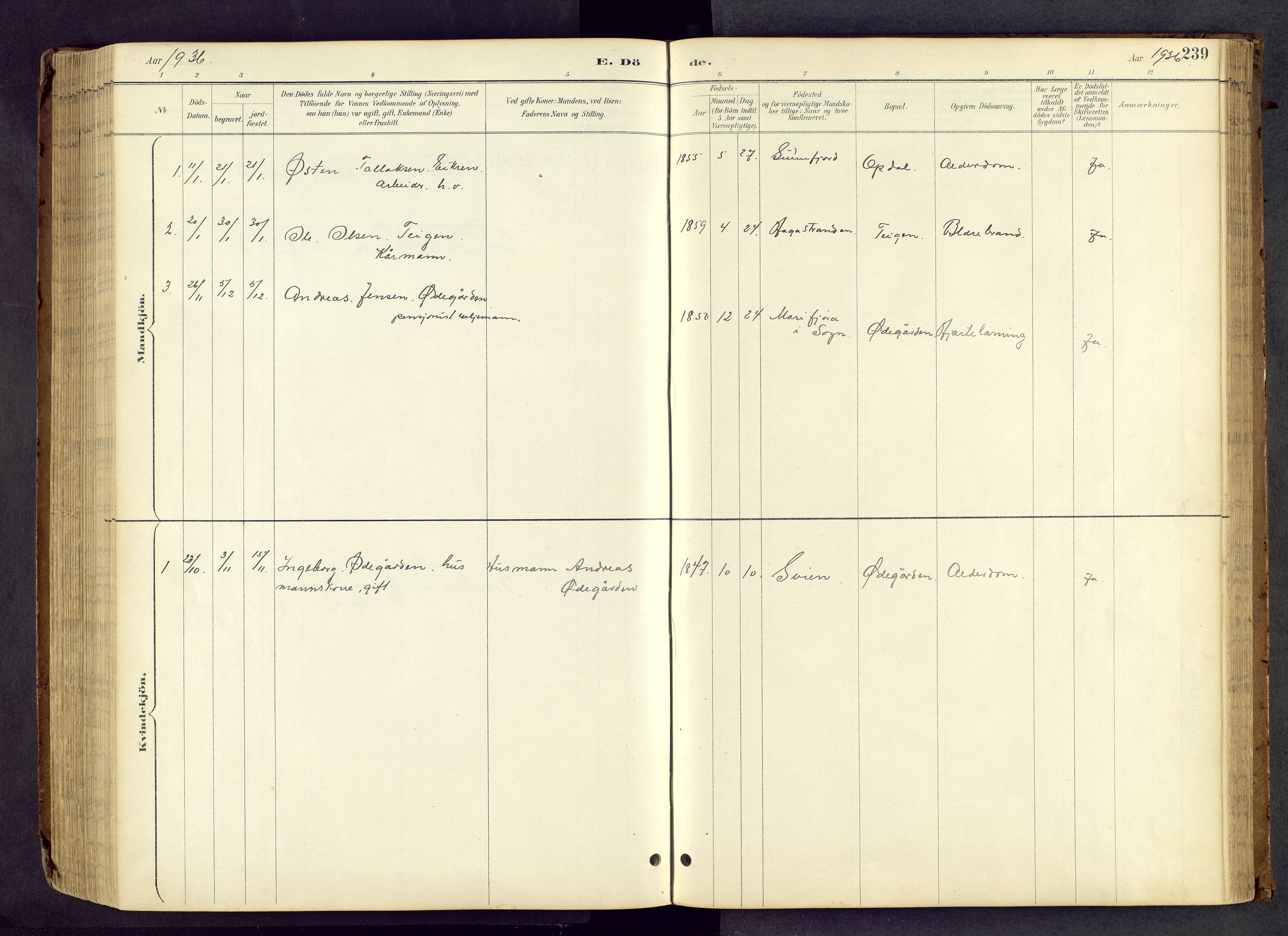 Vang prestekontor, Valdres, SAH/PREST-140/H/Hb/L0005: Parish register (copy) no. 5, 1889-1945, p. 239
