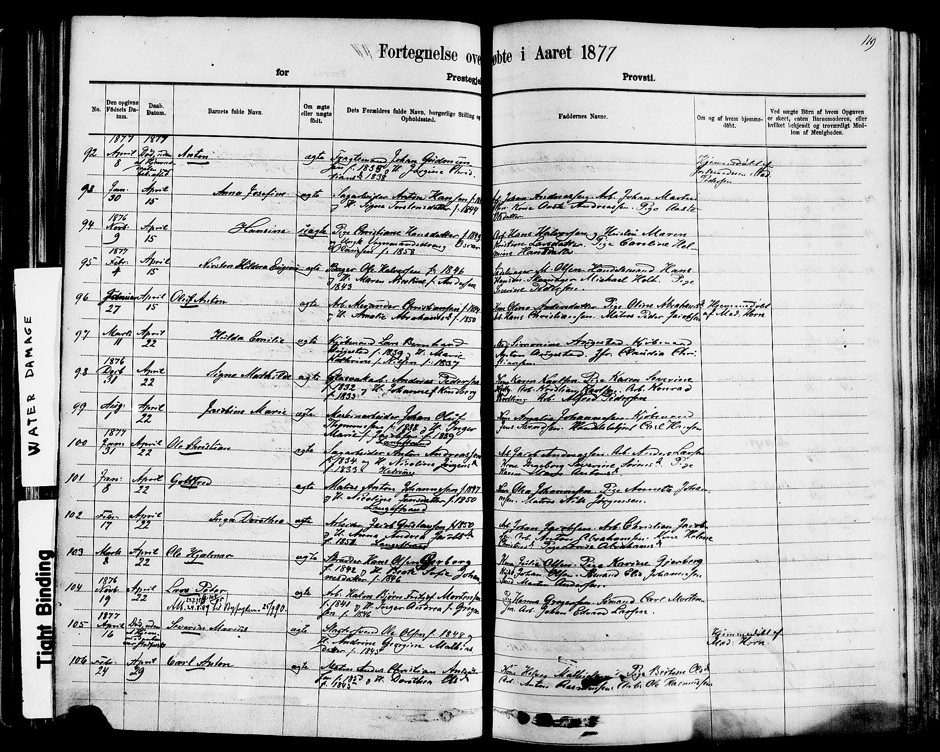 Larvik kirkebøker, AV/SAKO-A-352/F/Fa/L0006: Parish register (official) no. I 6, 1871-1883, p. 119