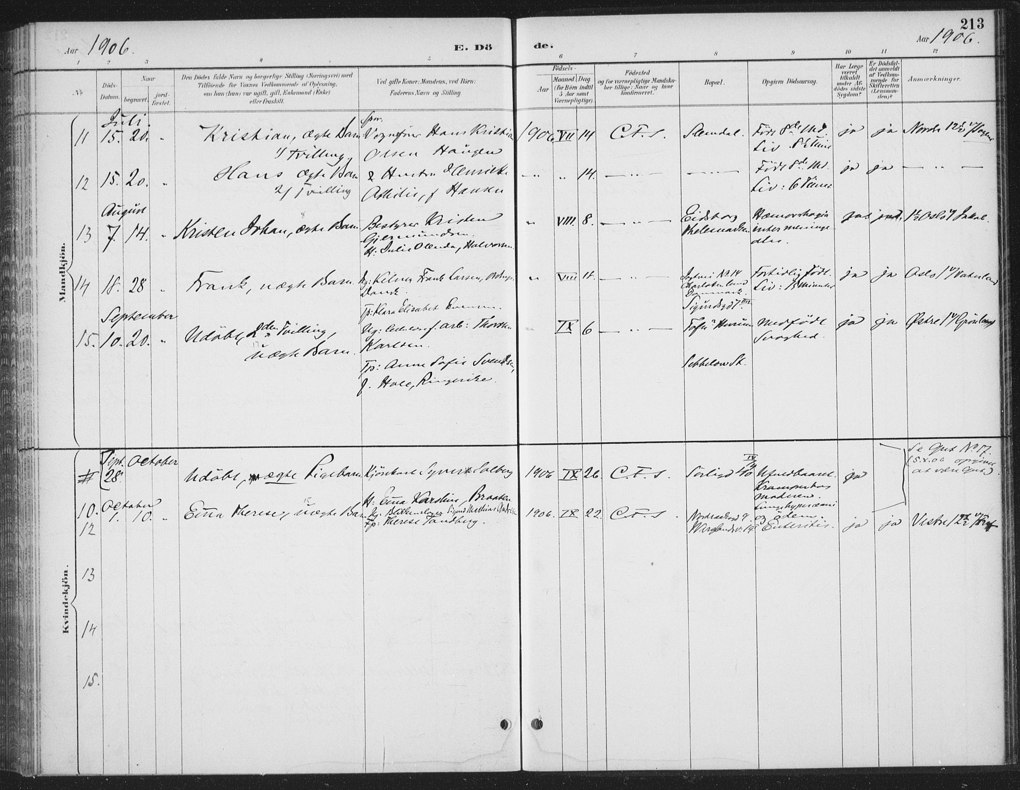 Rikshospitalet prestekontor Kirkebøker, AV/SAO-A-10309b/F/L0010: Parish register (official) no. 10, 1888-1912, p. 213