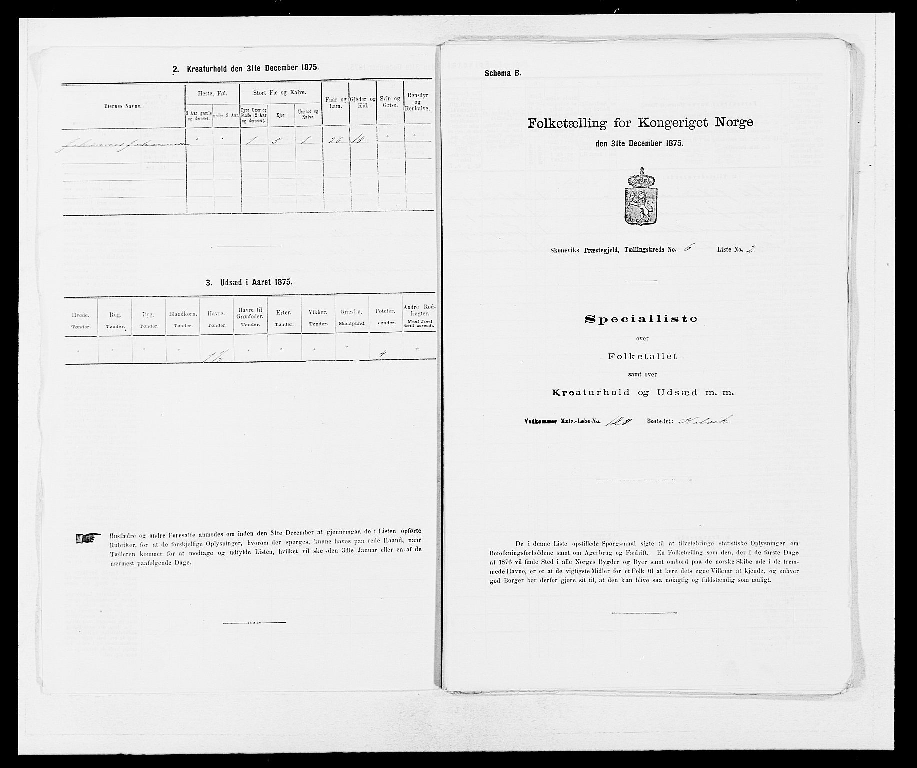 SAB, 1875 census for 1212P Skånevik, 1875, p. 575