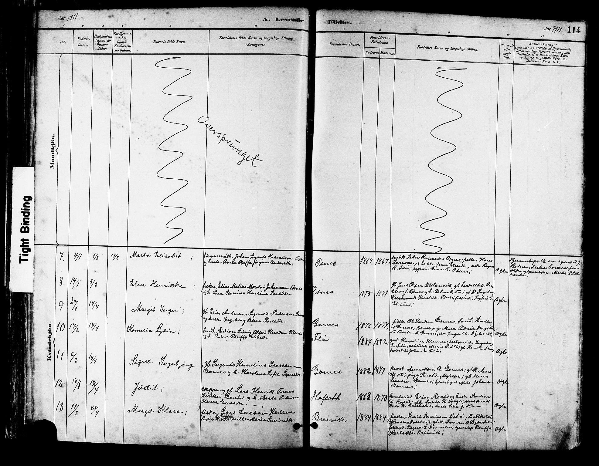 Ministerialprotokoller, klokkerbøker og fødselsregistre - Møre og Romsdal, AV/SAT-A-1454/509/L0112: Parish register (copy) no. 509C02, 1883-1922, p. 114