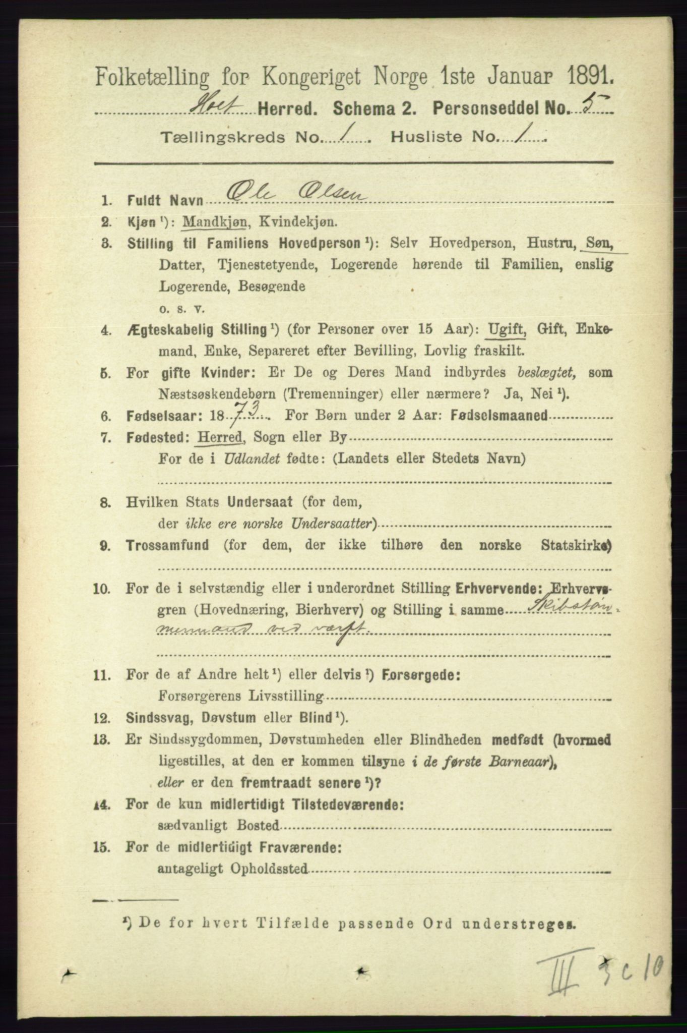 RA, 1891 census for 0914 Holt, 1891, p. 132