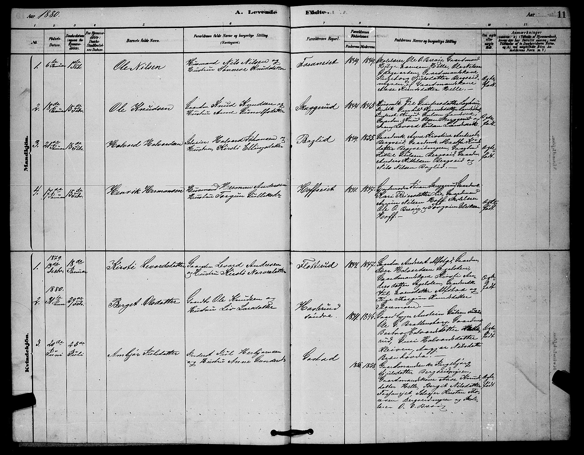 Rollag kirkebøker, SAKO/A-240/G/Ga/L0004: Parish register (copy) no. I 4, 1878-1903, p. 11