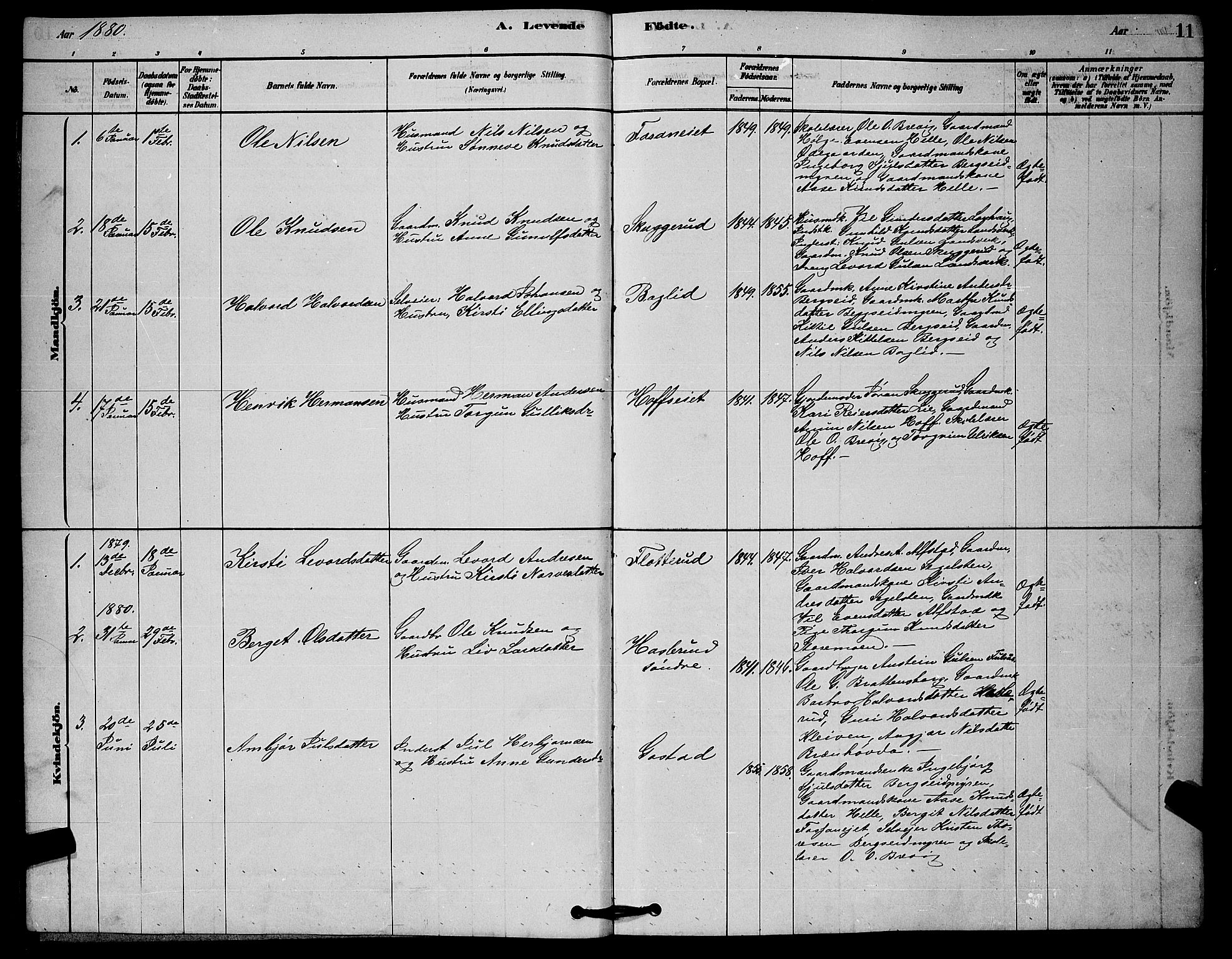 Rollag kirkebøker, AV/SAKO-A-240/G/Ga/L0004: Parish register (copy) no. I 4, 1878-1903, p. 11