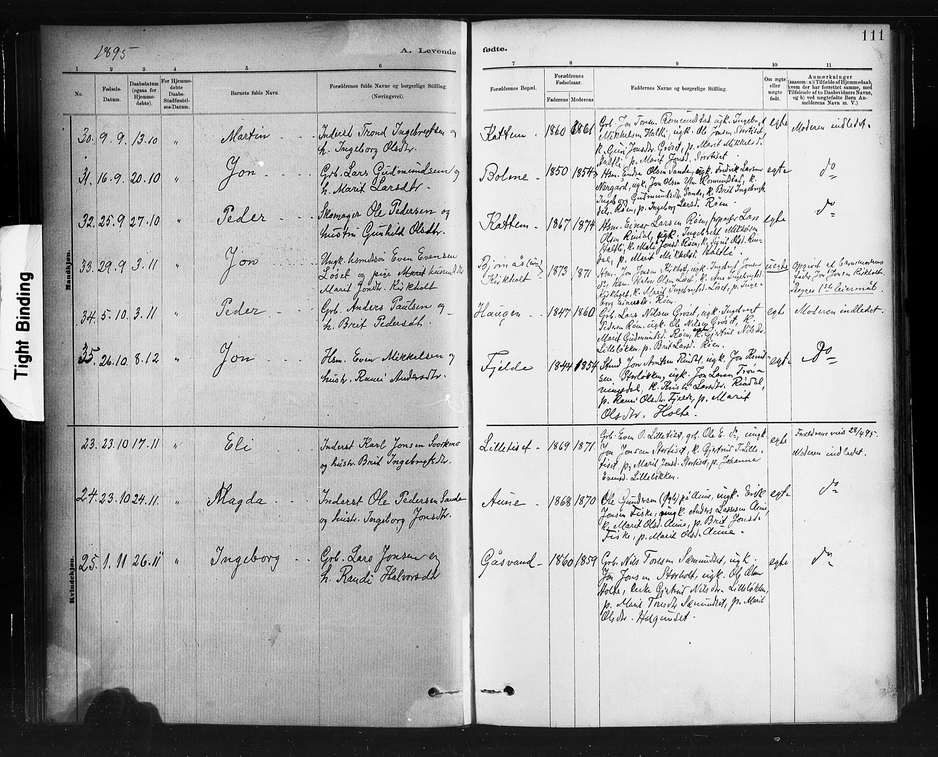 Ministerialprotokoller, klokkerbøker og fødselsregistre - Møre og Romsdal, AV/SAT-A-1454/598/L1069: Parish register (official) no. 598A03, 1882-1895, p. 111