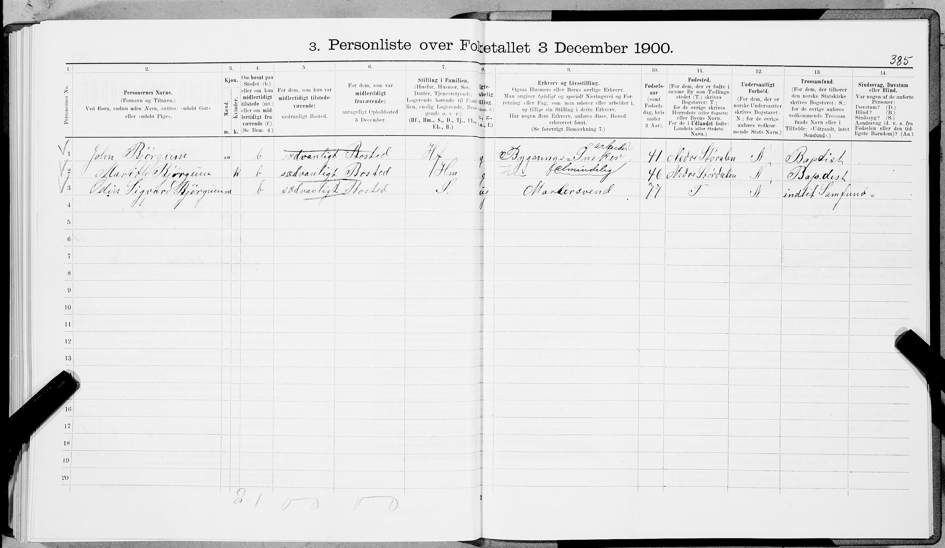 SAT, 1900 census for Trondheim, 1900, p. 8700