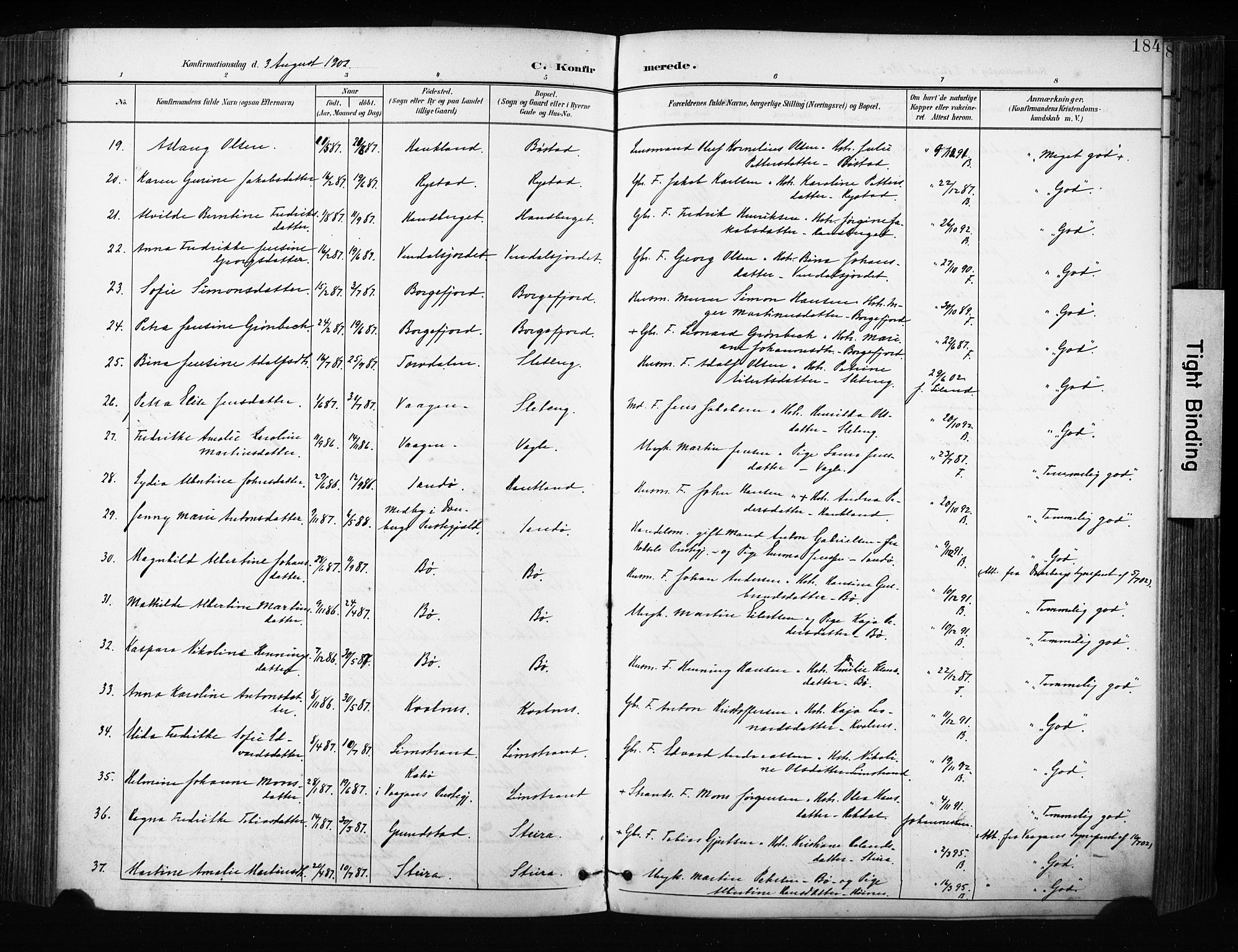 Ministerialprotokoller, klokkerbøker og fødselsregistre - Nordland, AV/SAT-A-1459/880/L1134: Parish register (official) no. 880A08, 1899-1908, p. 184