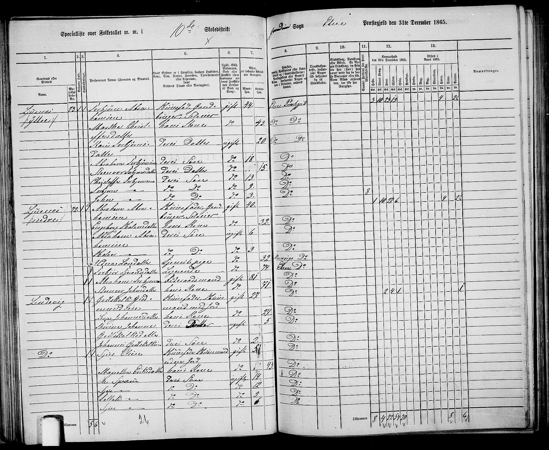 RA, 1865 census for Etne, 1865, p. 65